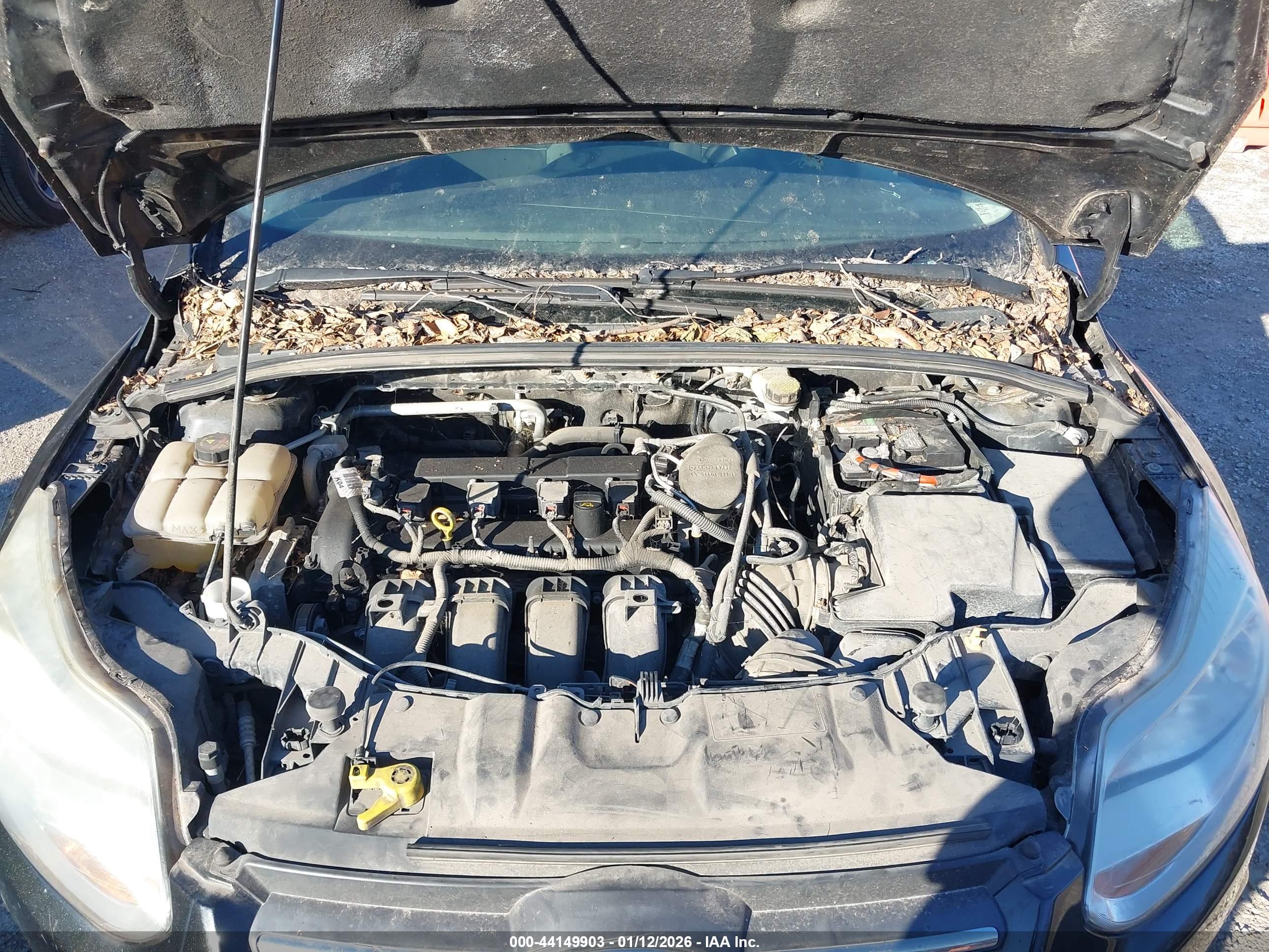 FORD FOCUS image 10