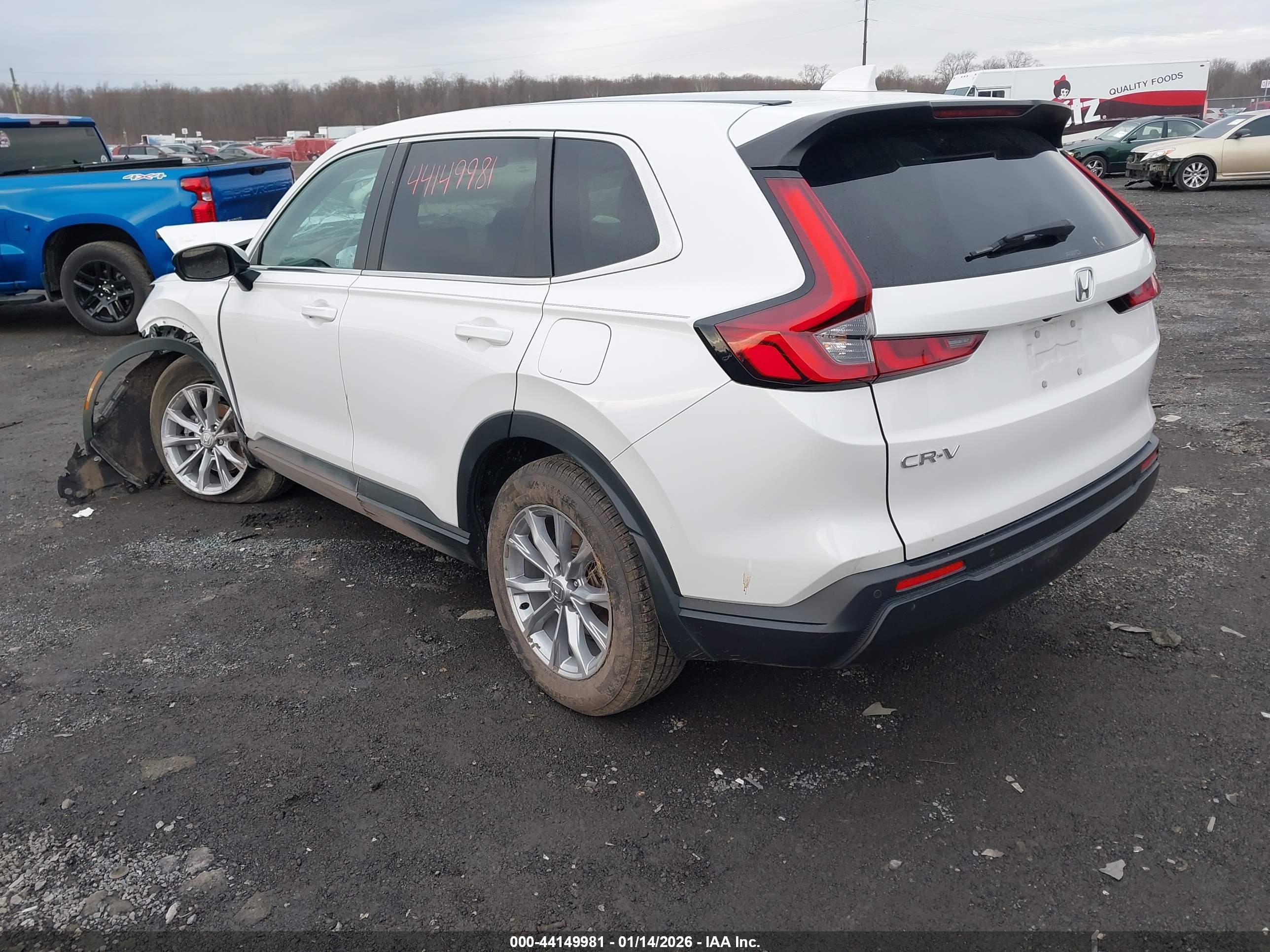 HONDA CR-V image 3