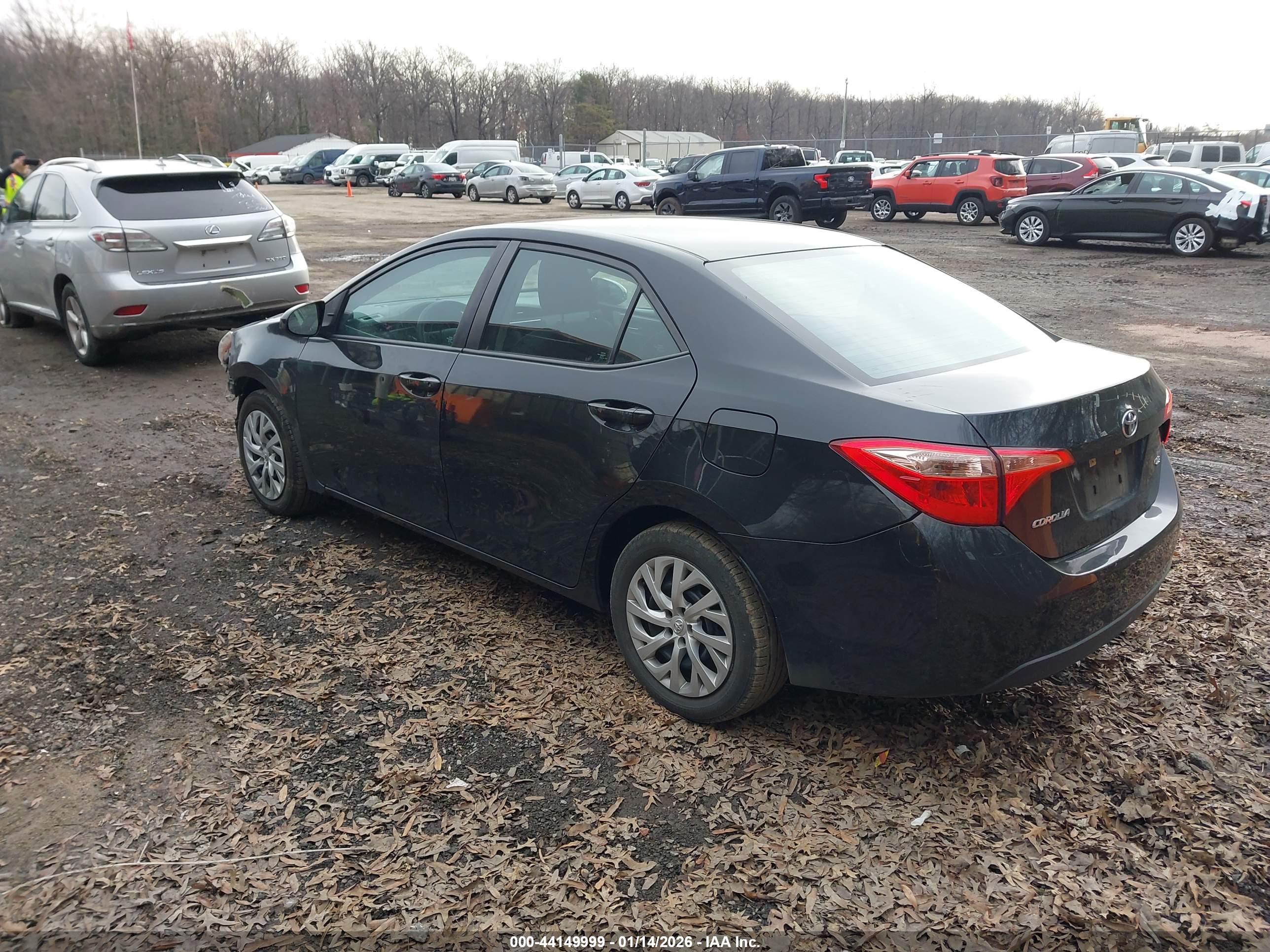 TOYOTA COROLLA image 3