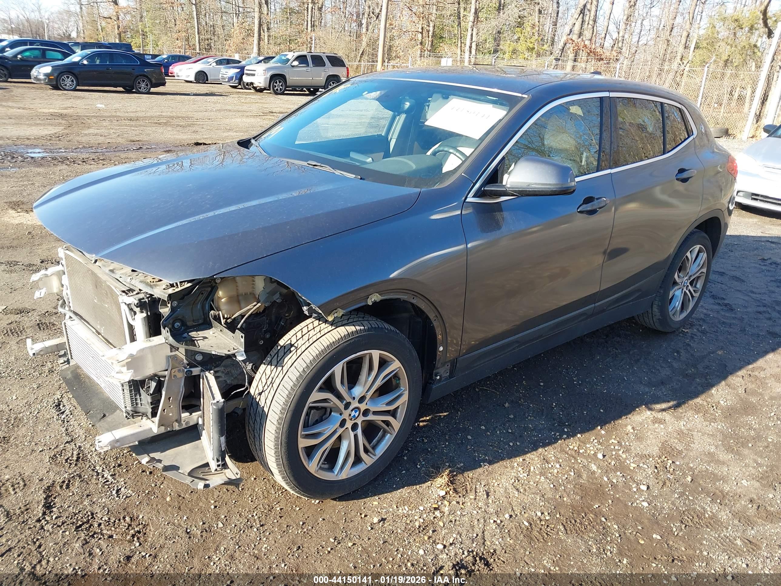 BMW X2 image 2