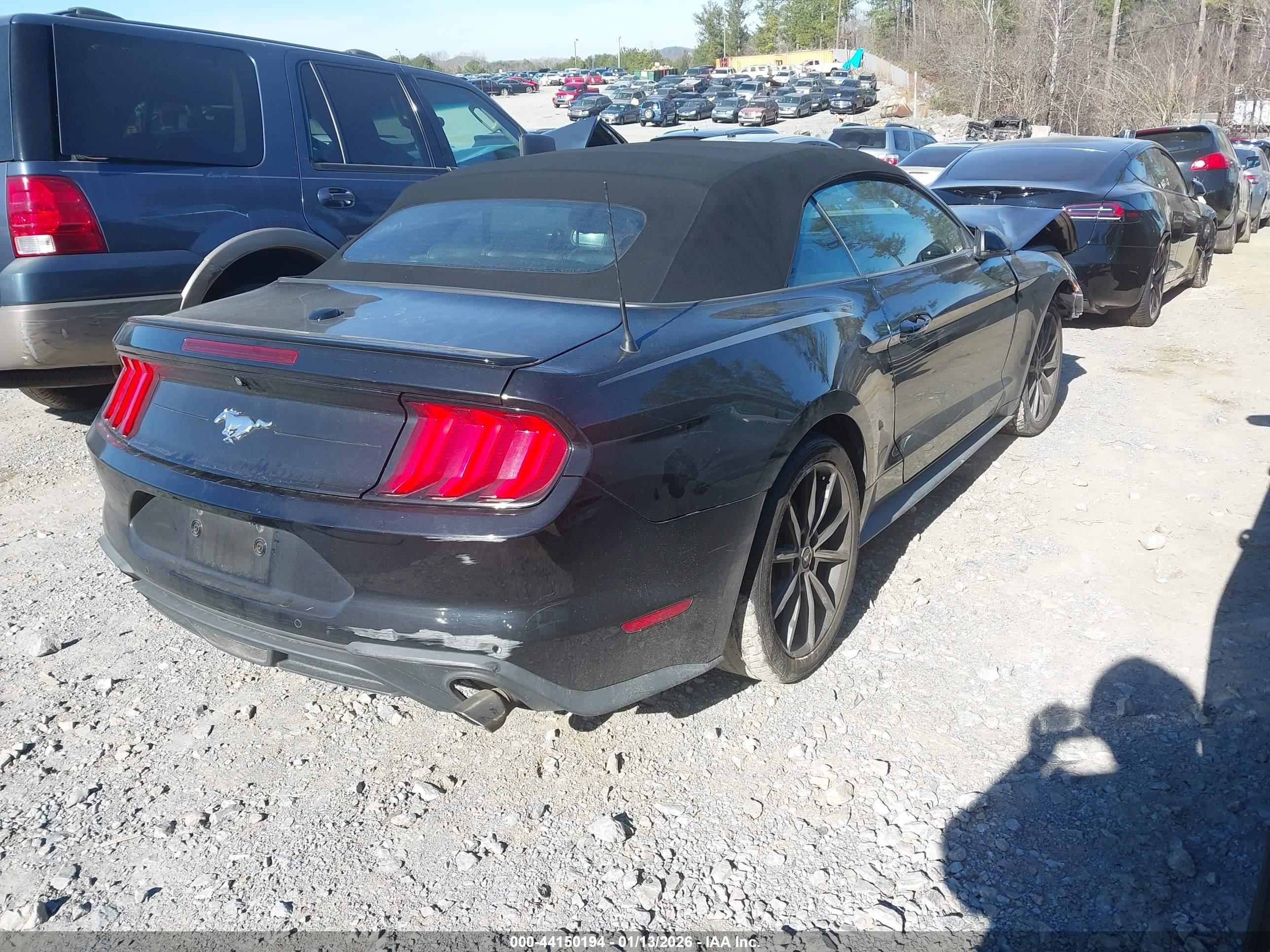 FORD MUSTANG image 4