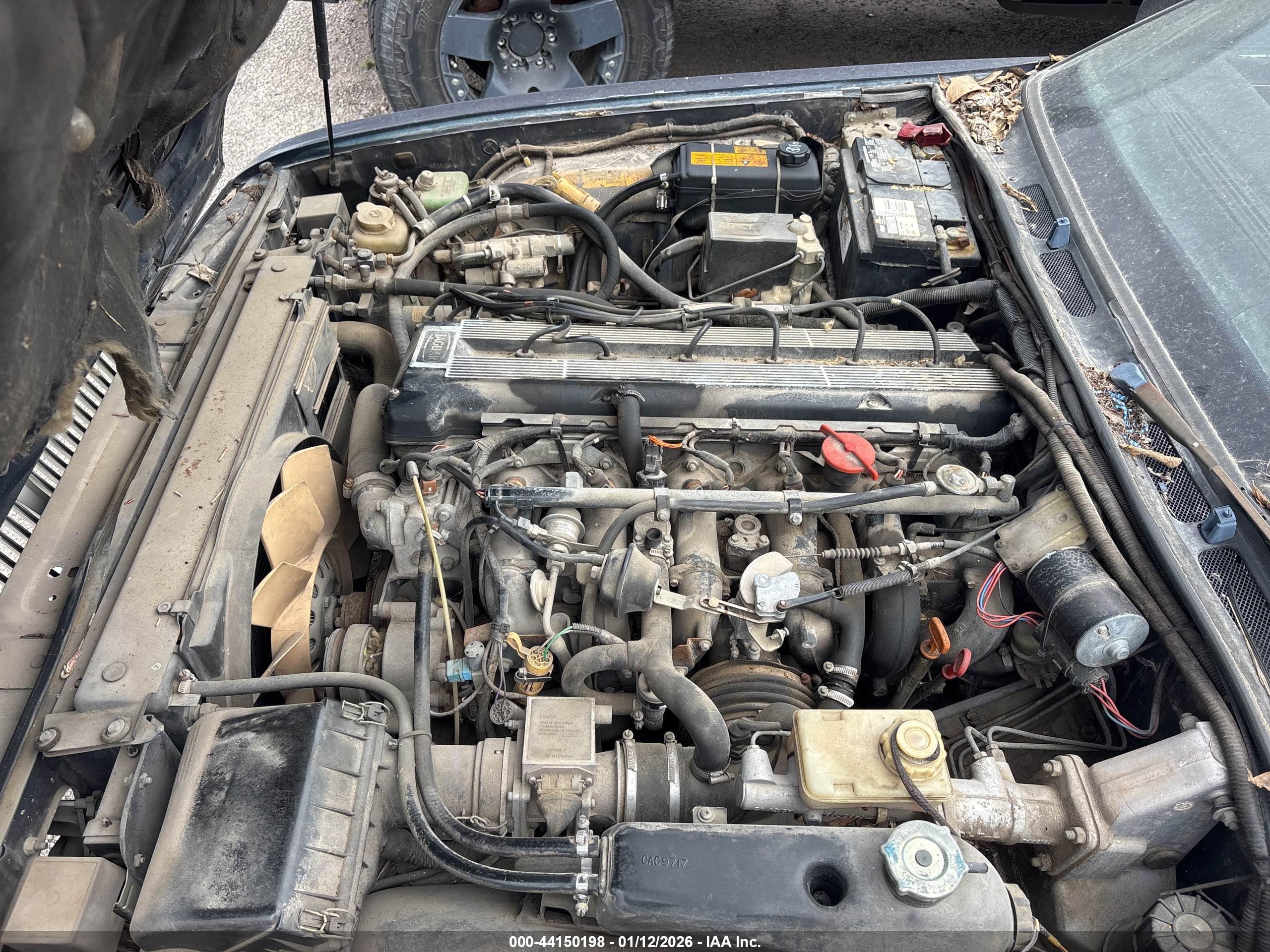 JAGUAR XJ6 image 10