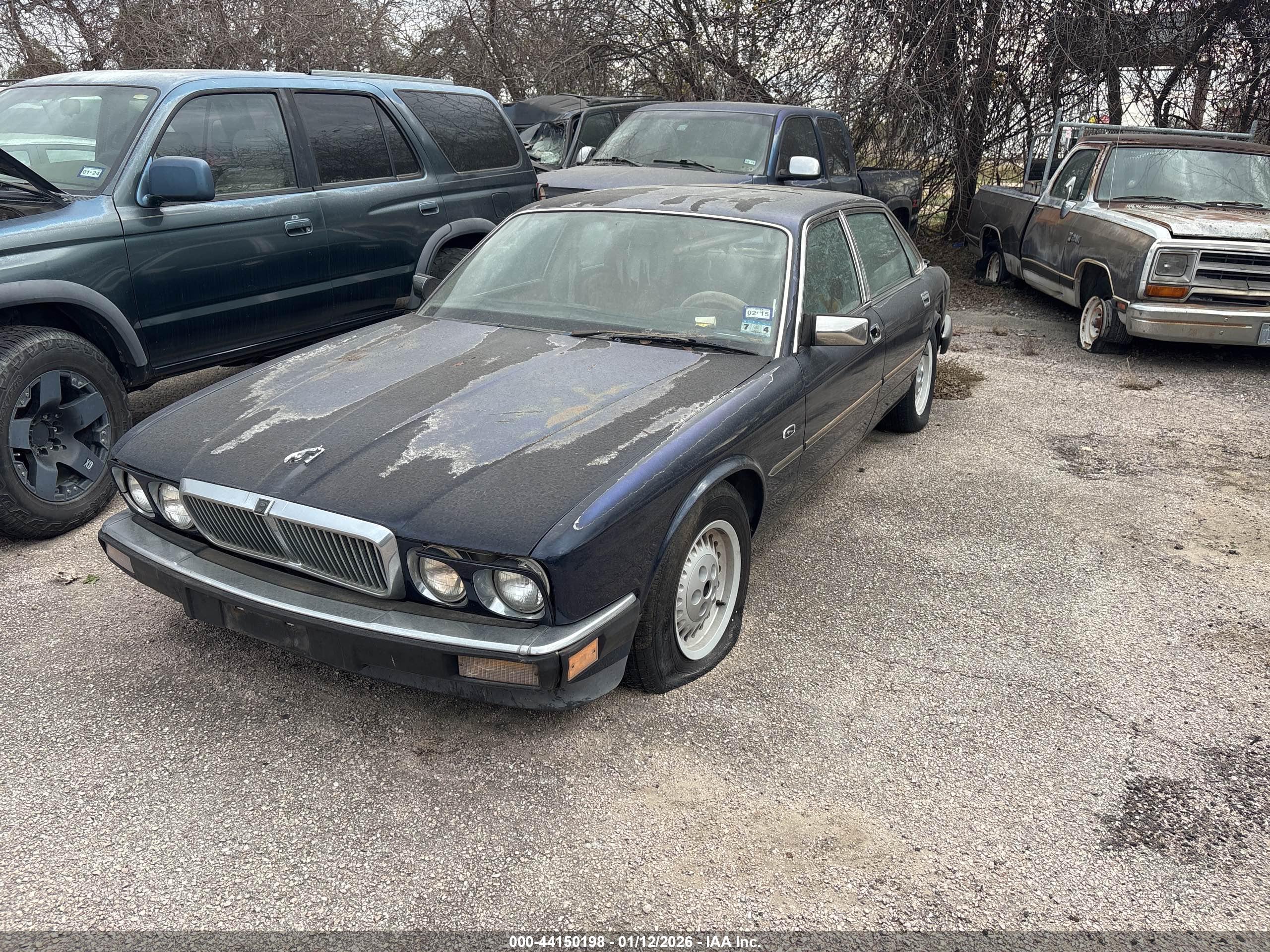 JAGUAR XJ6 image 2