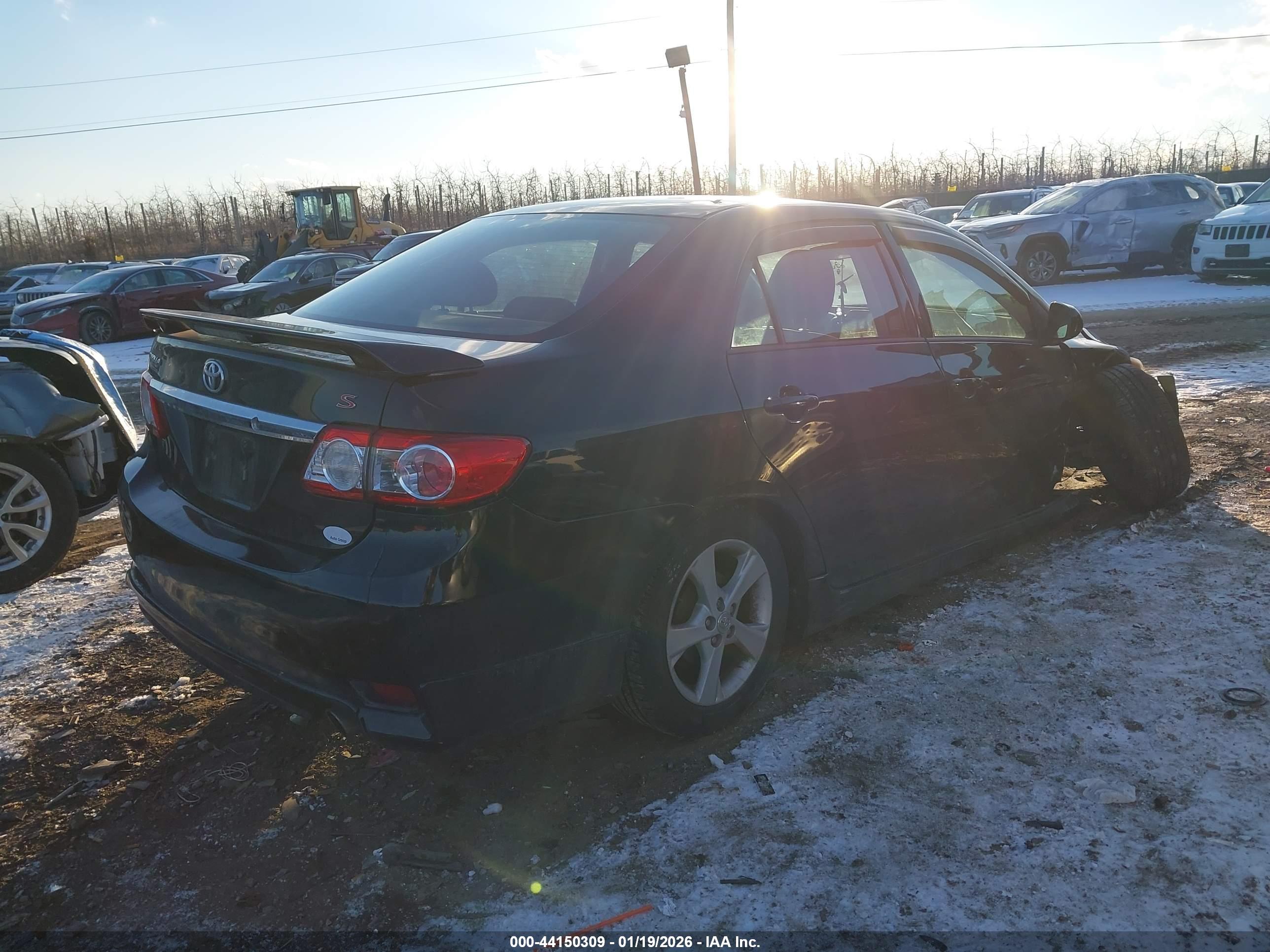 TOYOTA COROLLA image 4