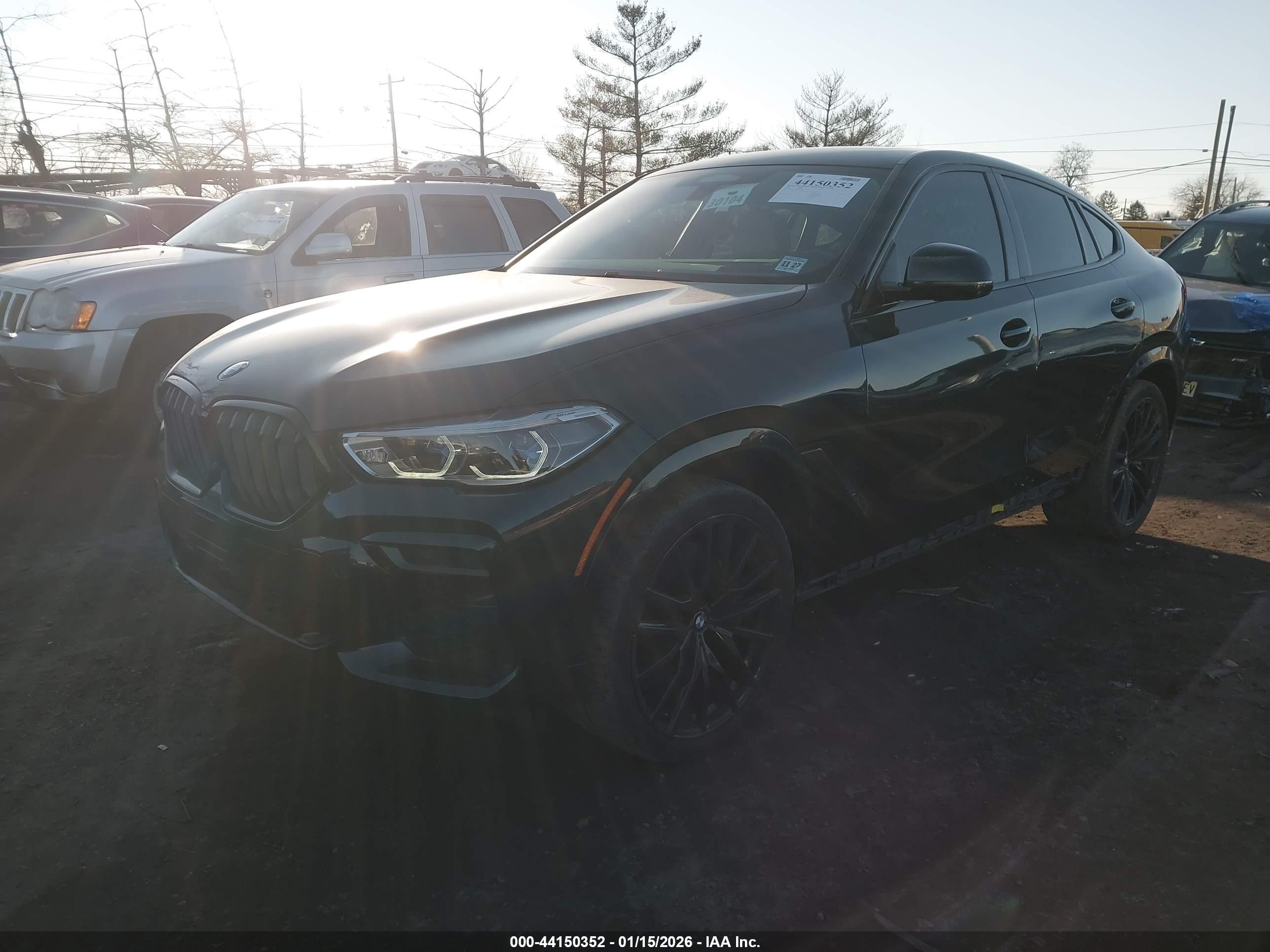 BMW X6 image 2