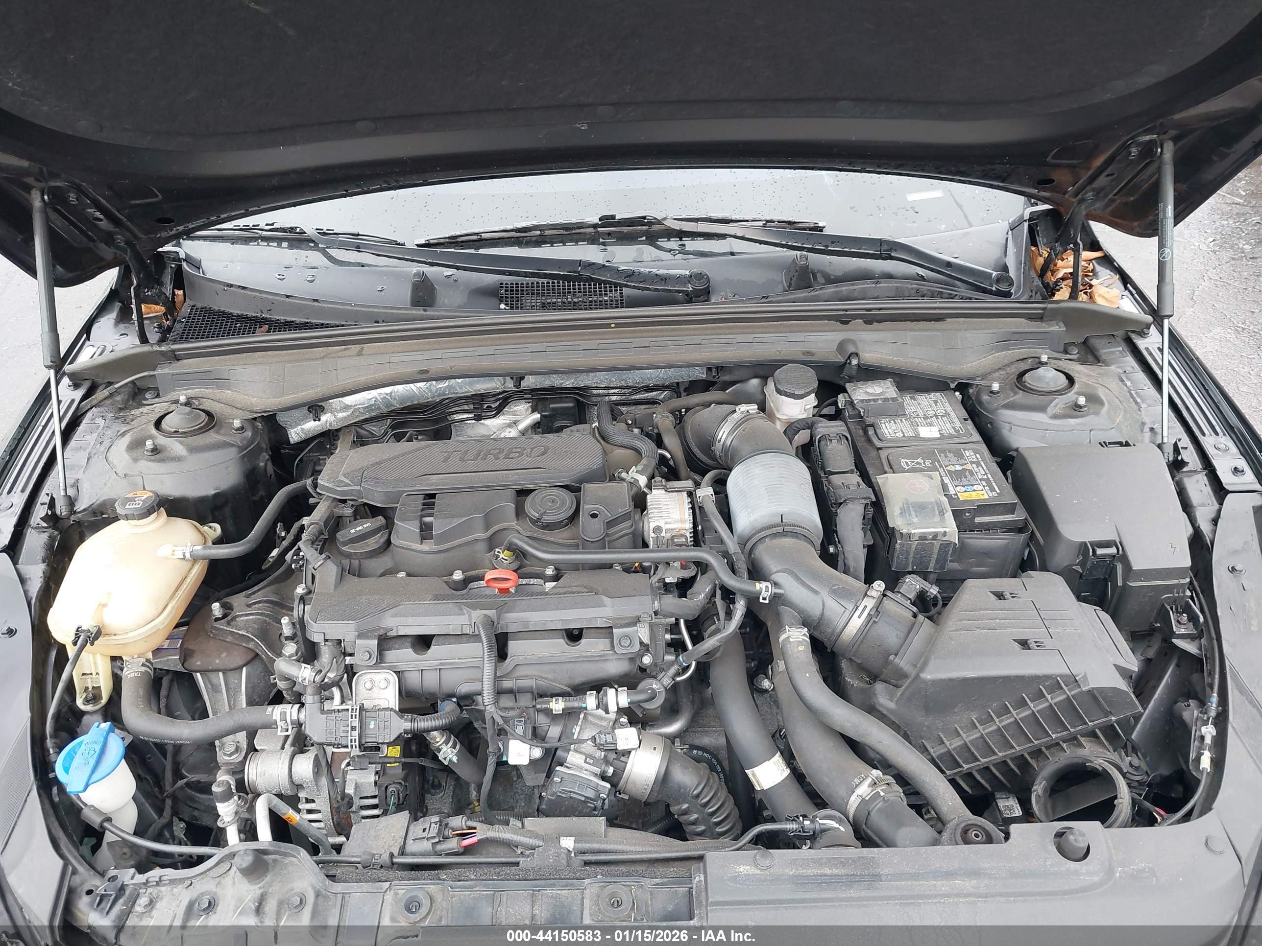 KIA K5 image 10