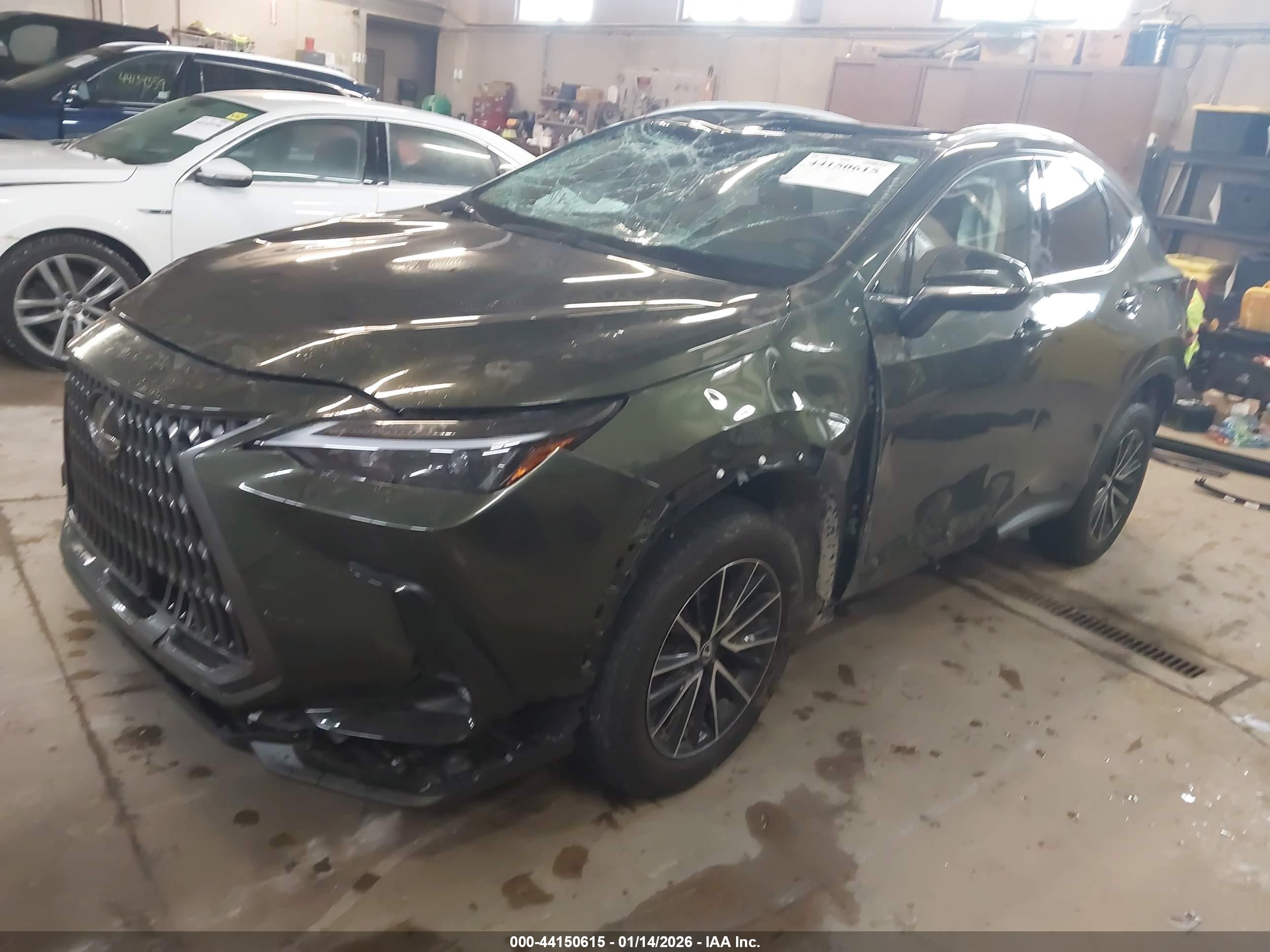 LEXUS NX image 2