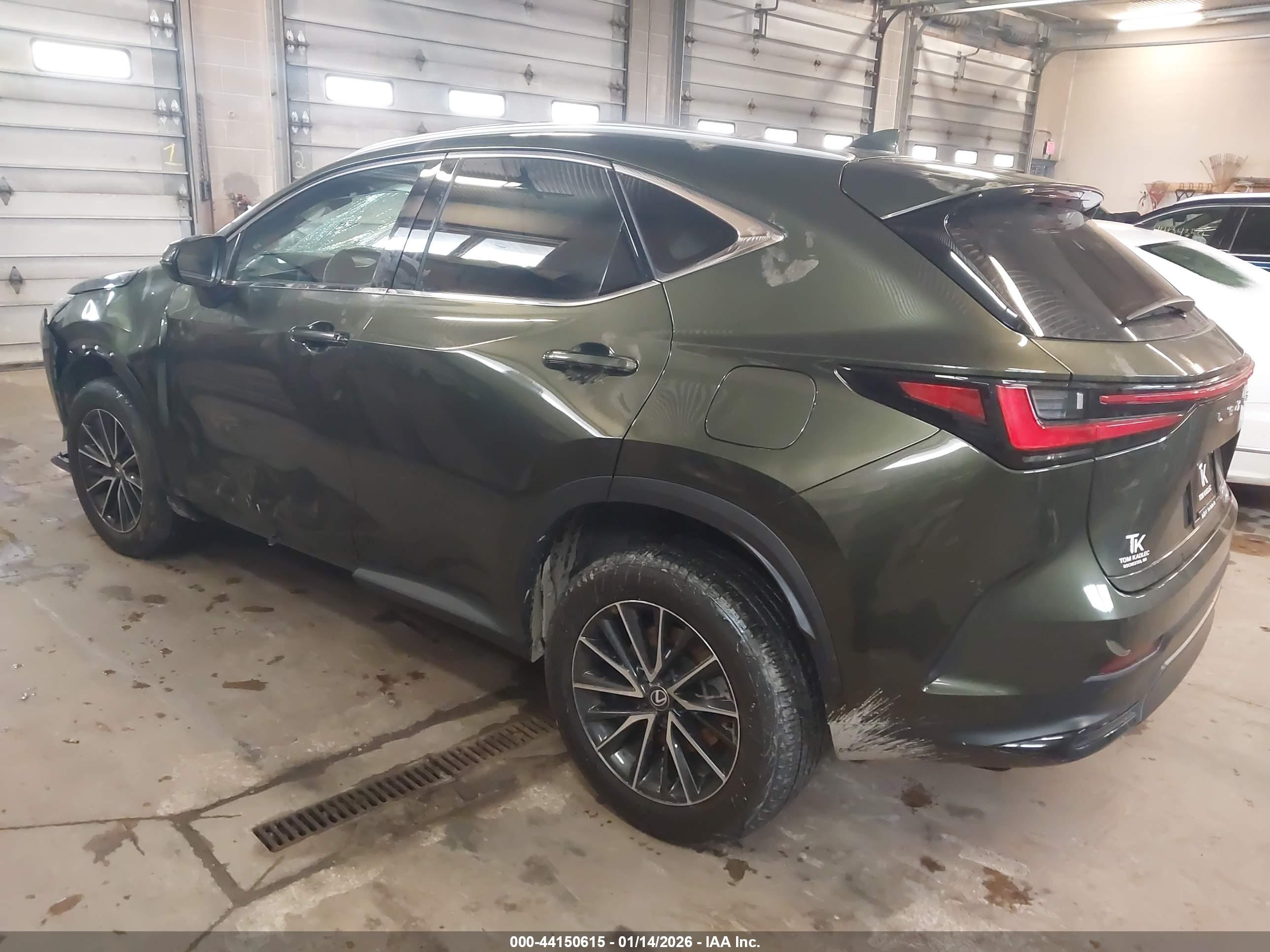 LEXUS NX image 3