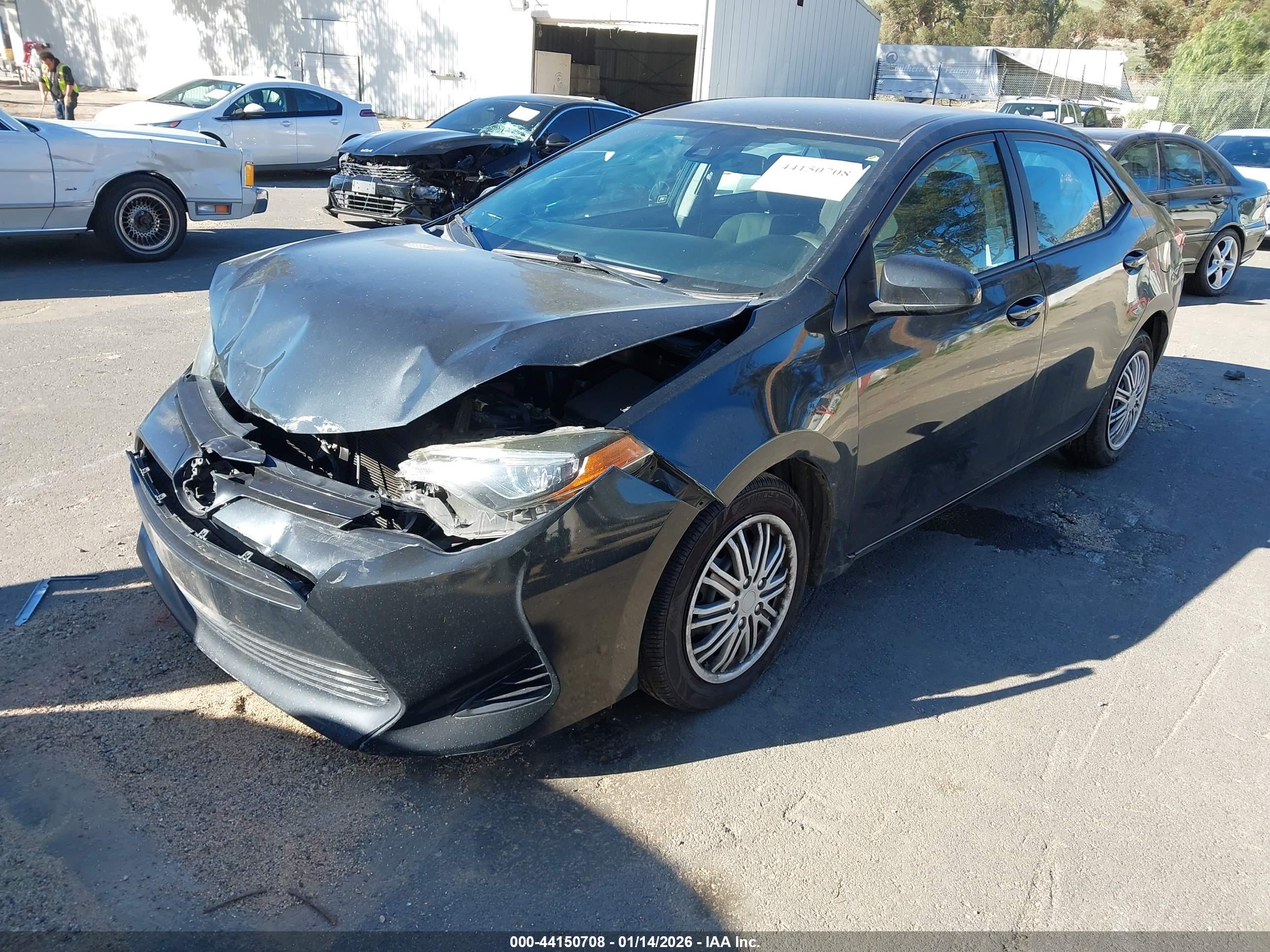 TOYOTA COROLLA image 2