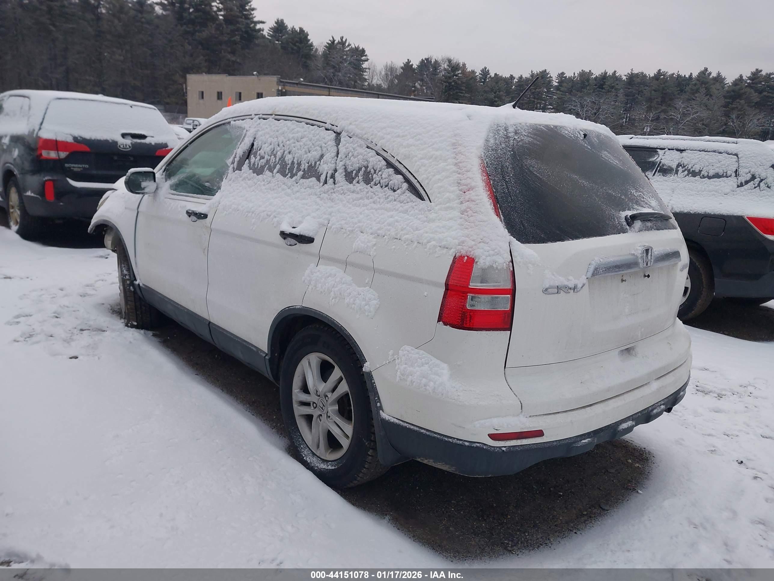 HONDA CR-V image 3