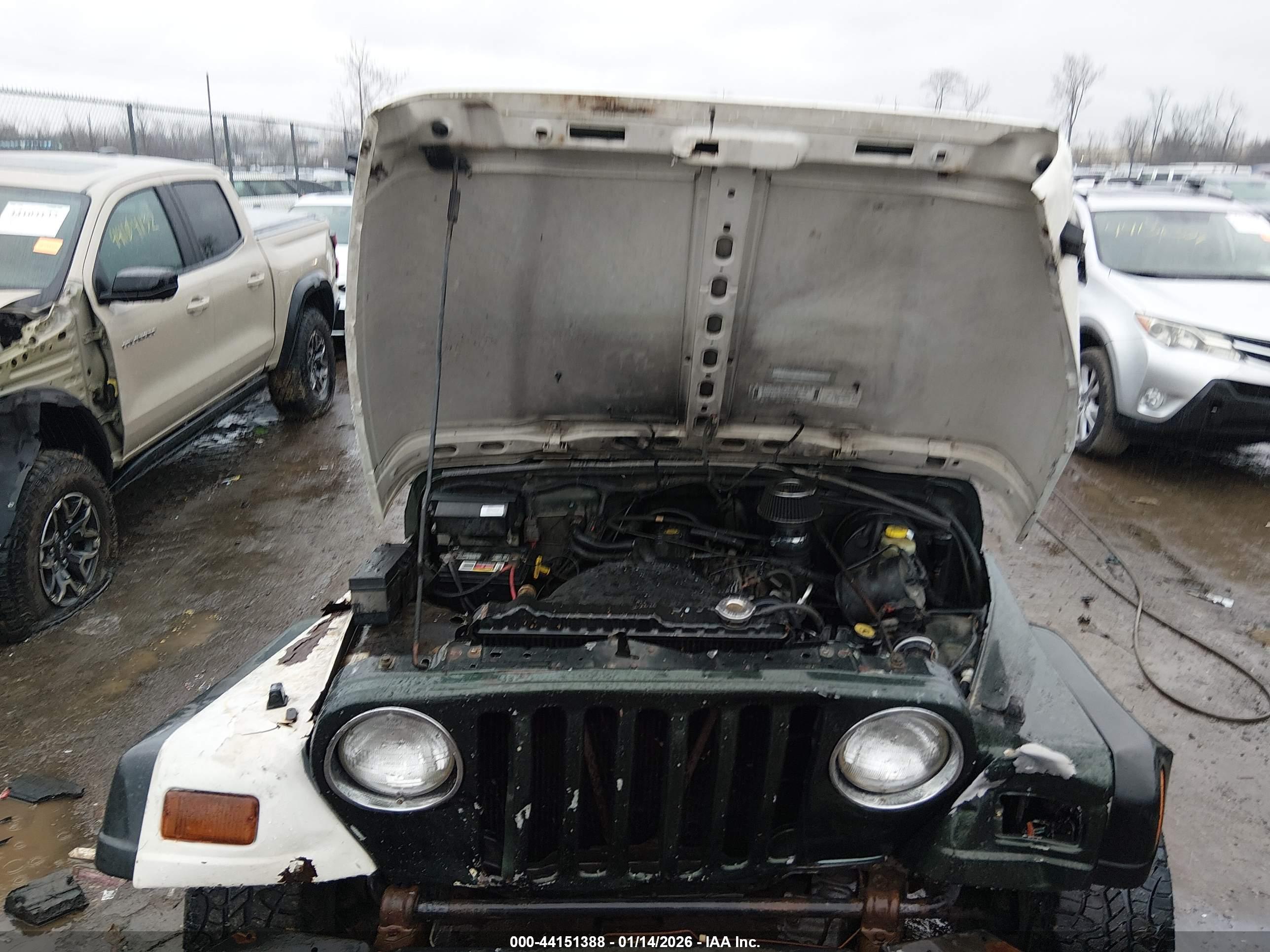 JEEP WRANGLER image 10