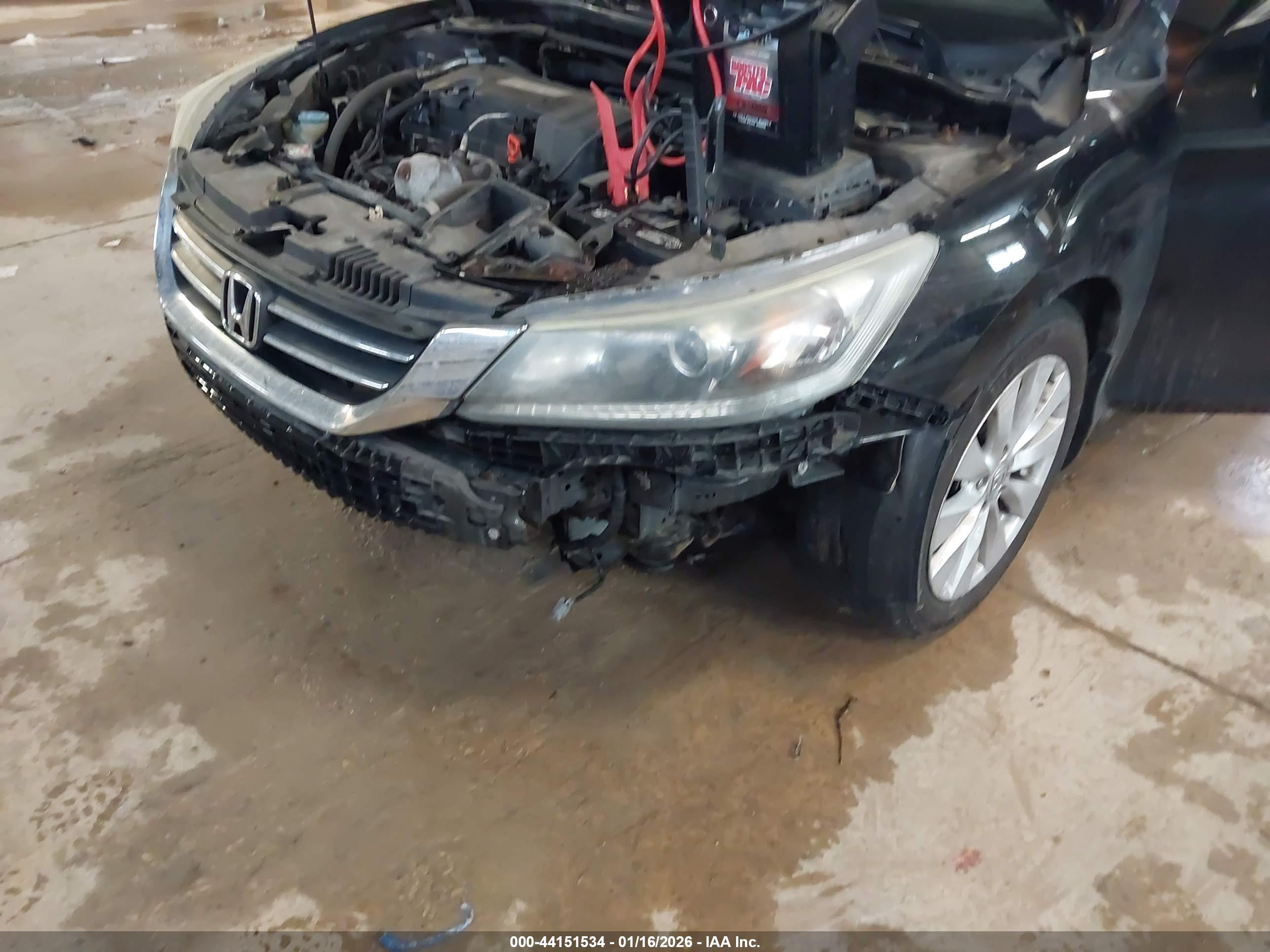 HONDA ACCORD image 6