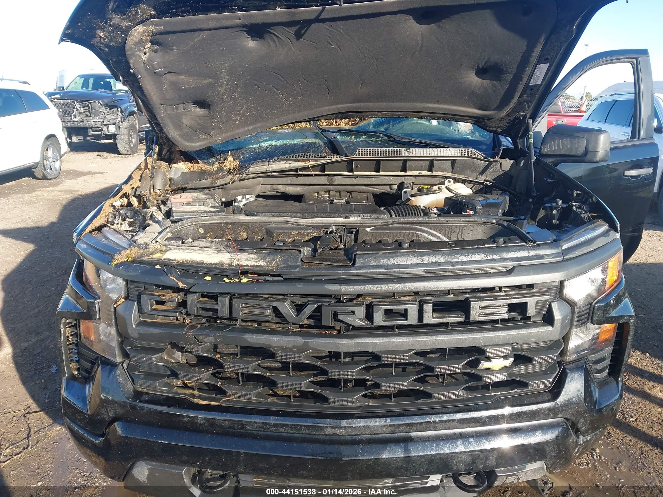 CHEVROLET SILVERADO image 10