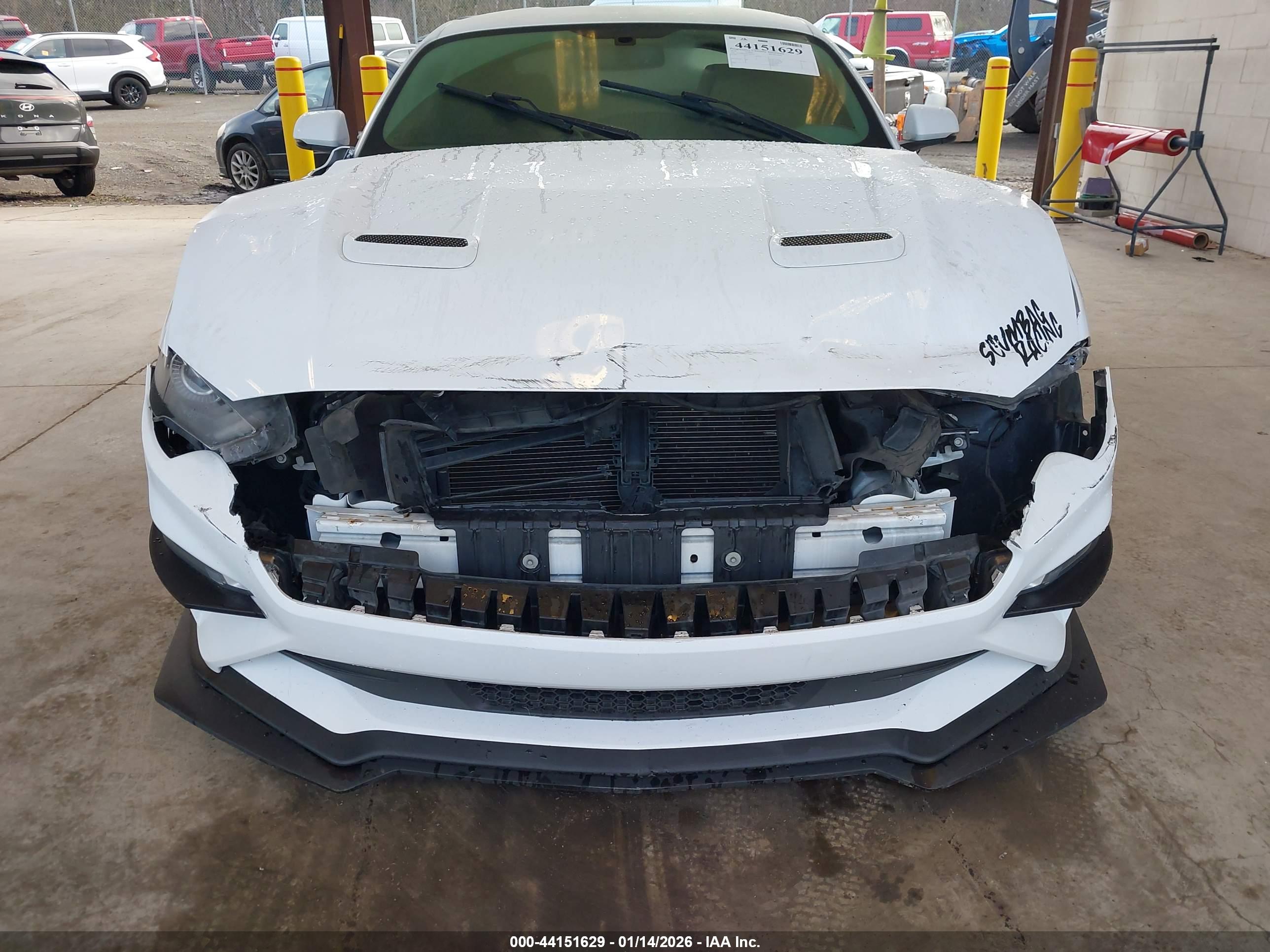 FORD MUSTANG image 6