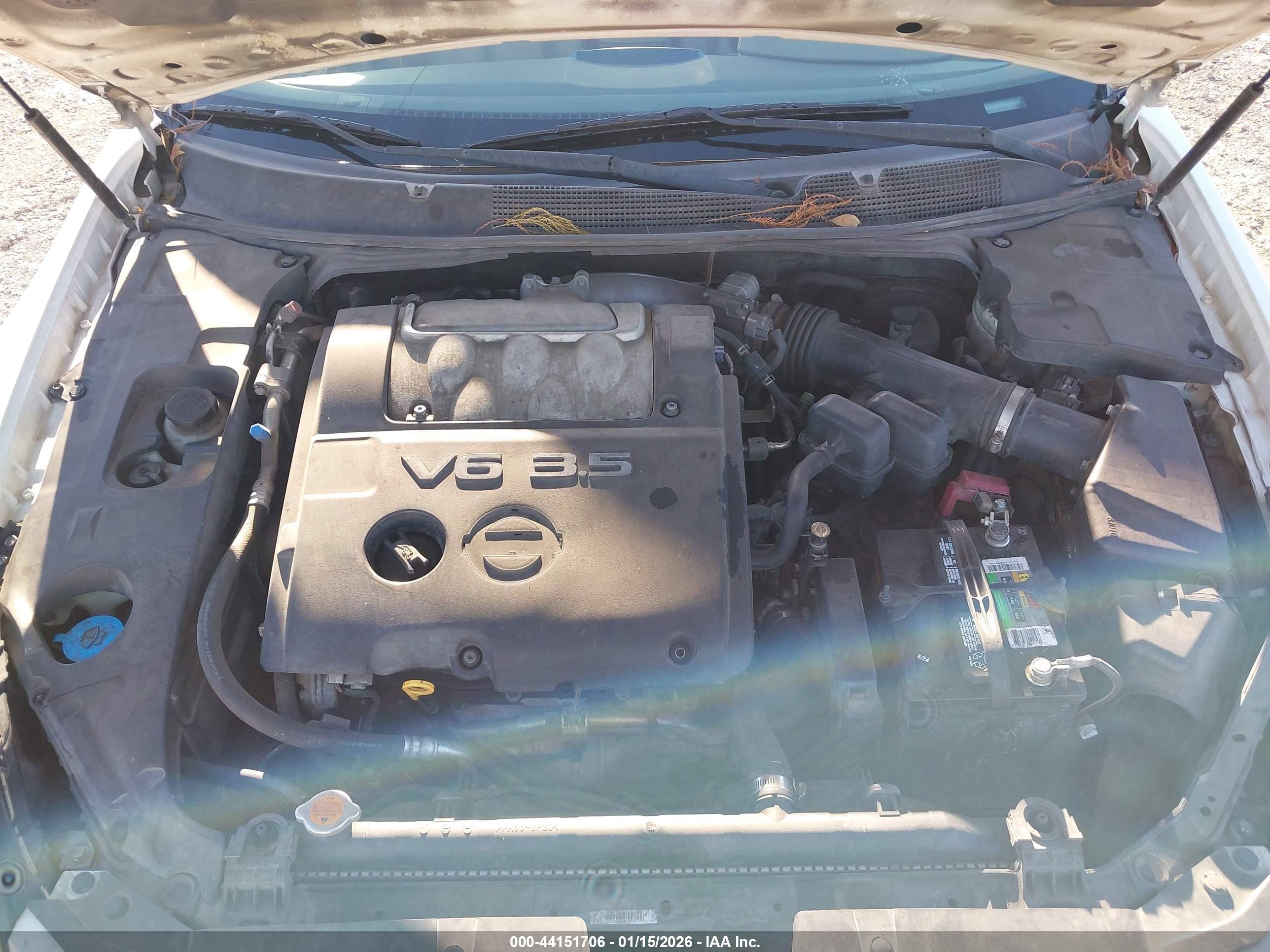 NISSAN MAXIMA image 10