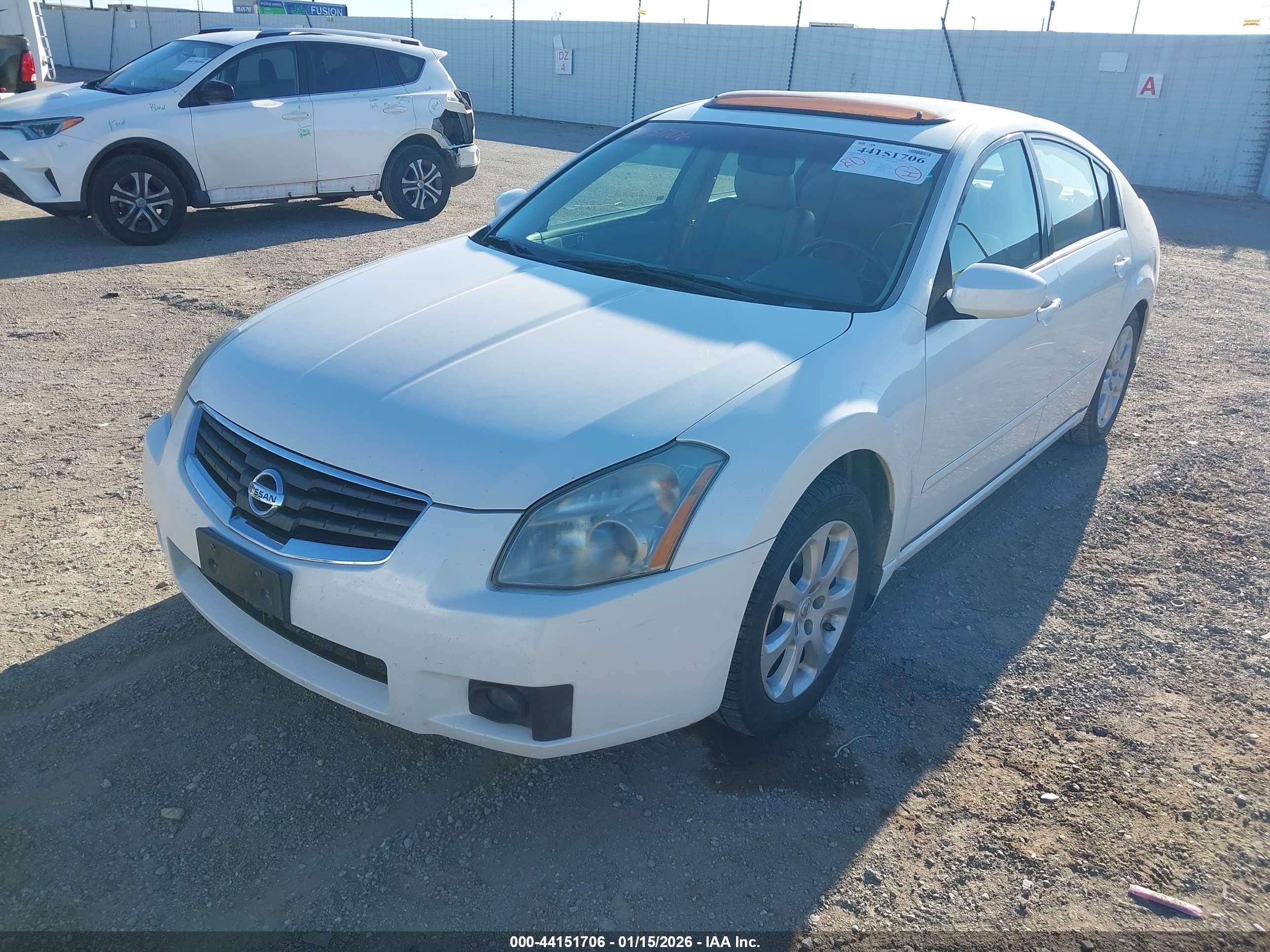 NISSAN MAXIMA image 2