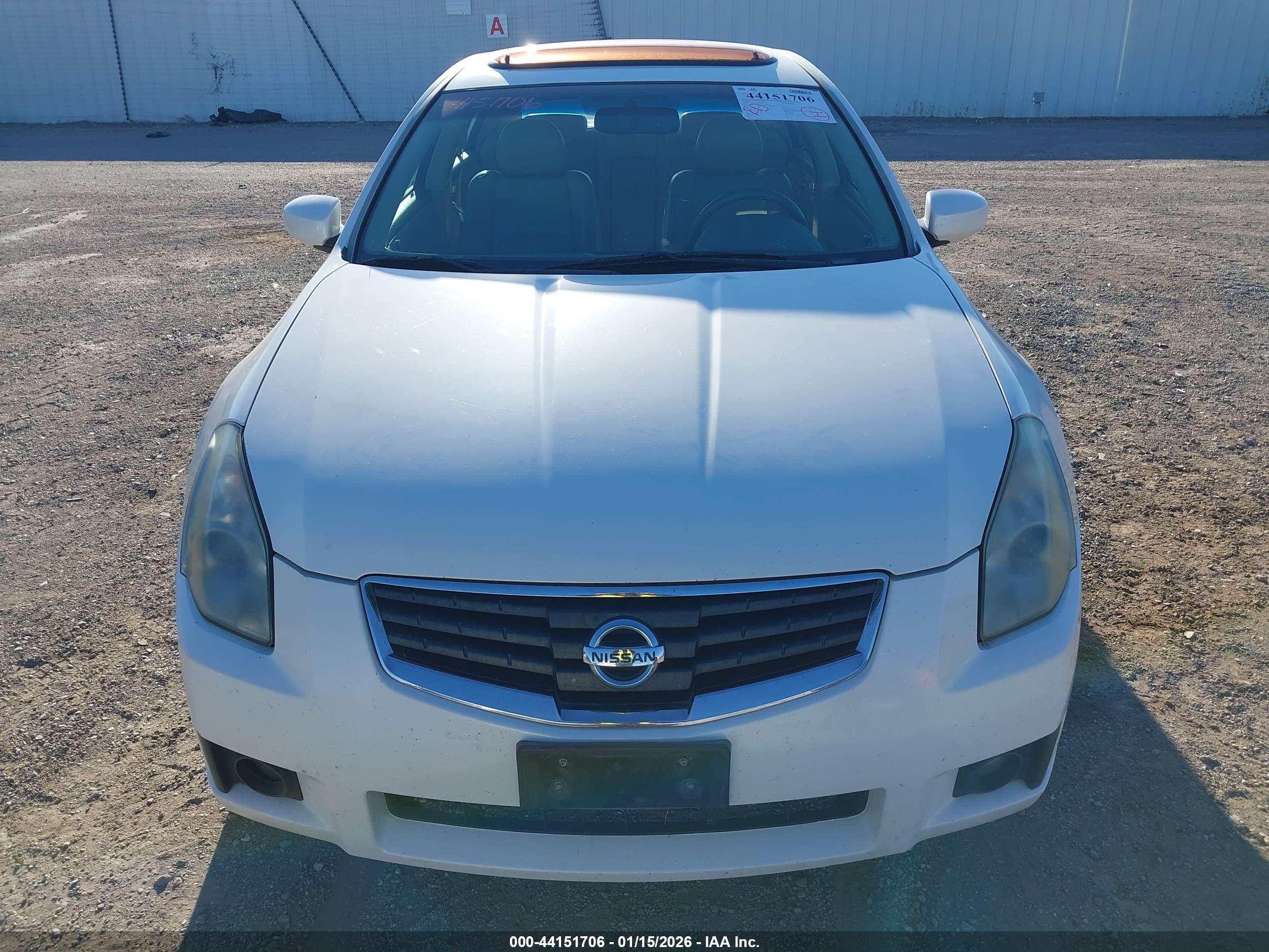 NISSAN MAXIMA image 6