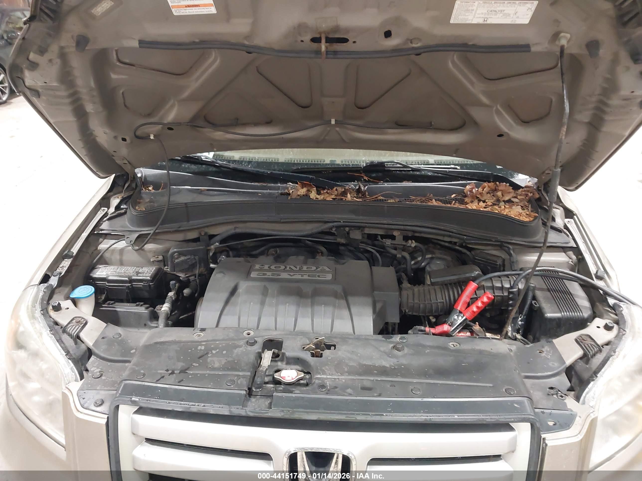 HONDA PILOT image 10