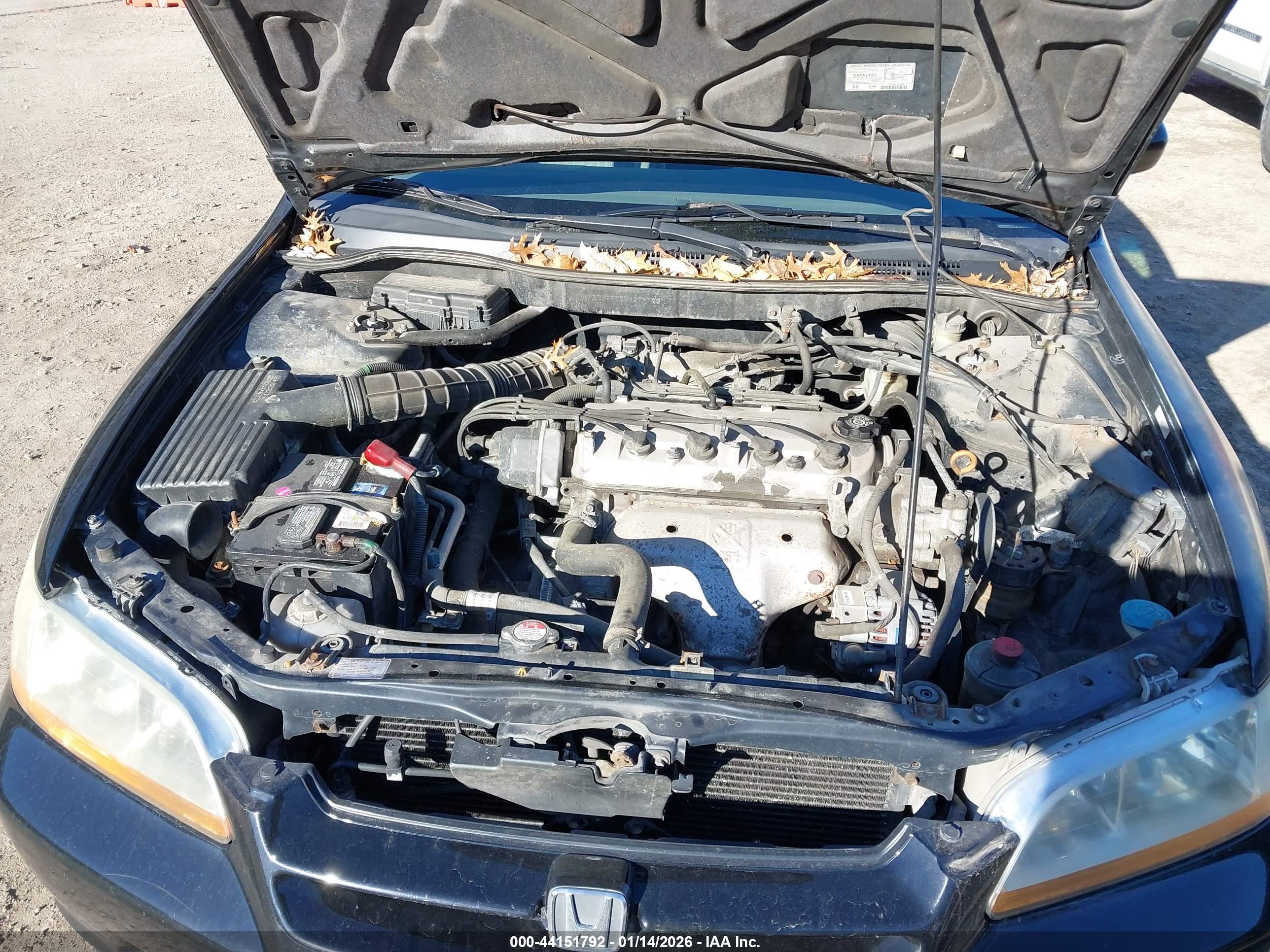 HONDA ACCORD image 10
