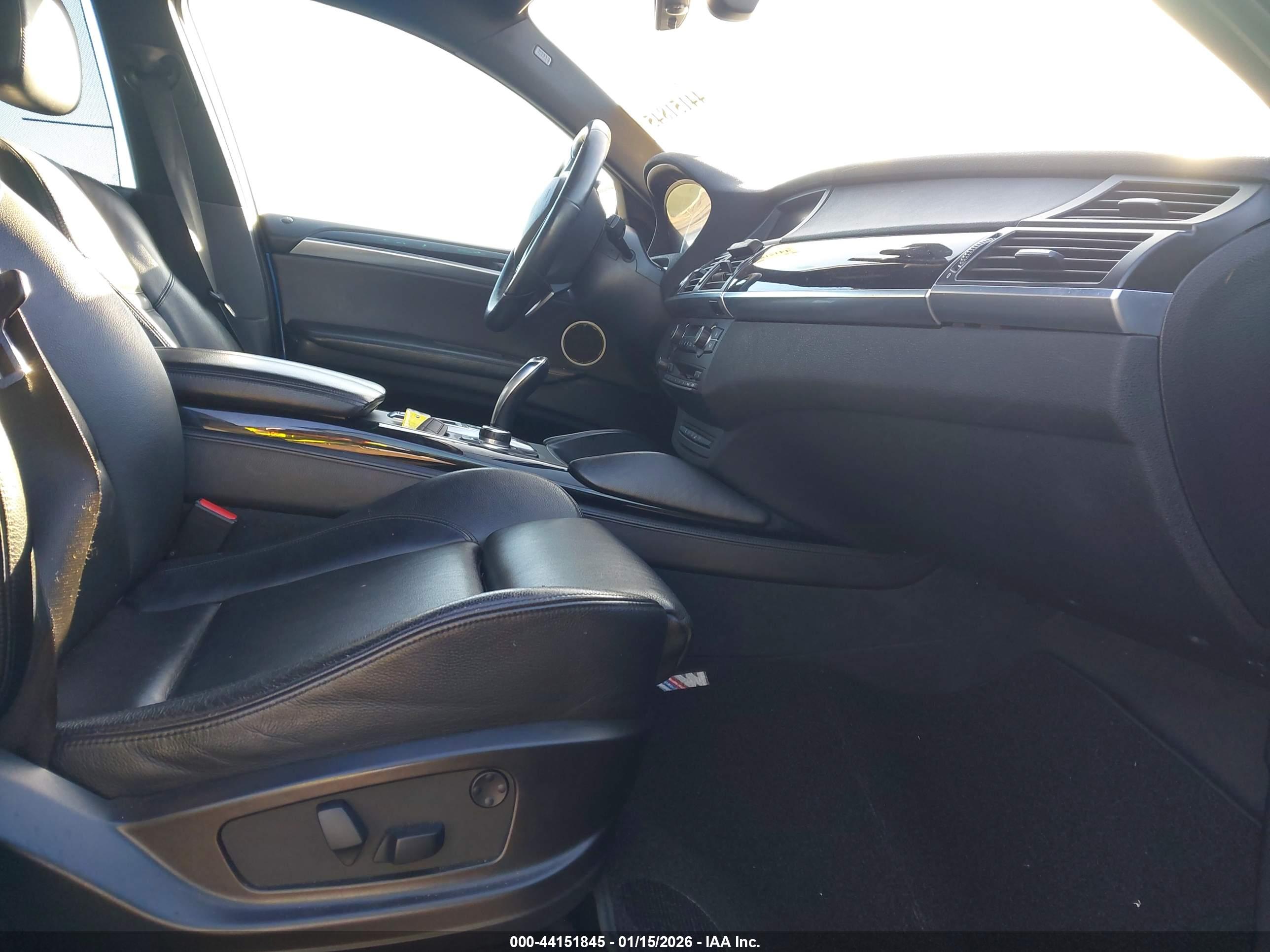 BMW X6 image 5