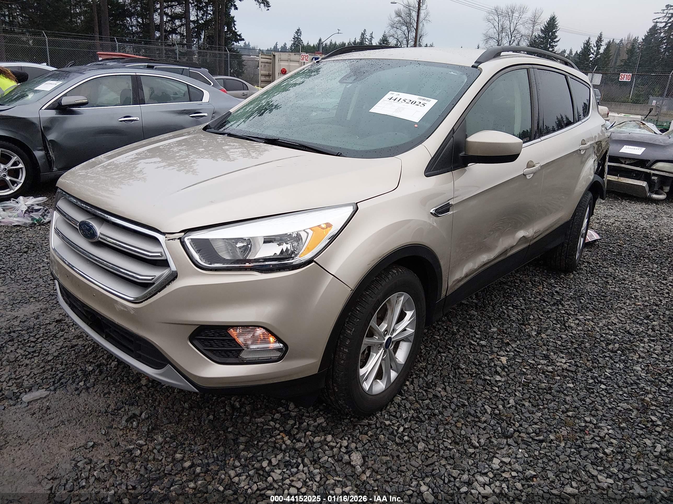 FORD ESCAPE image 2