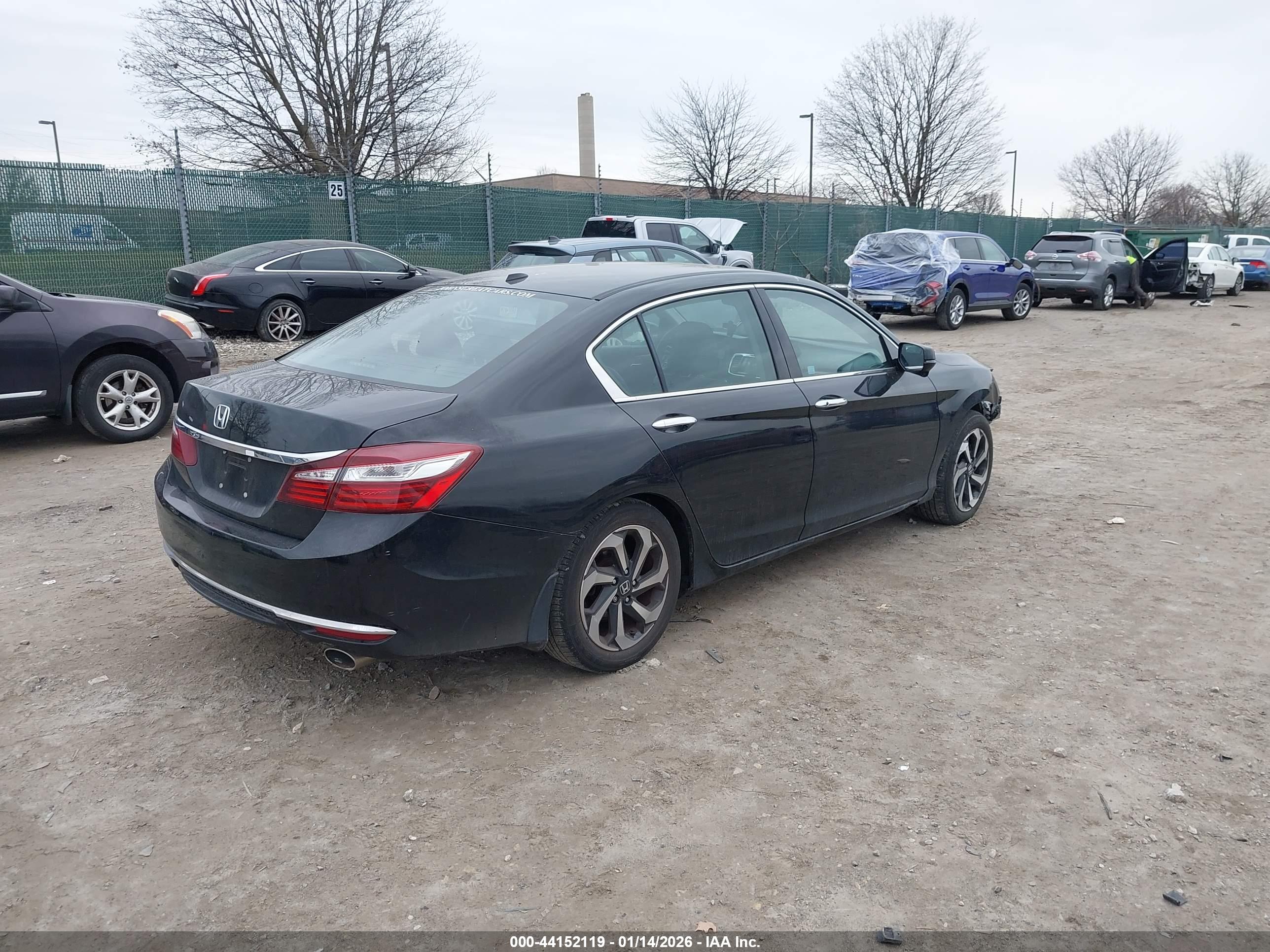 HONDA ACCORD image 4