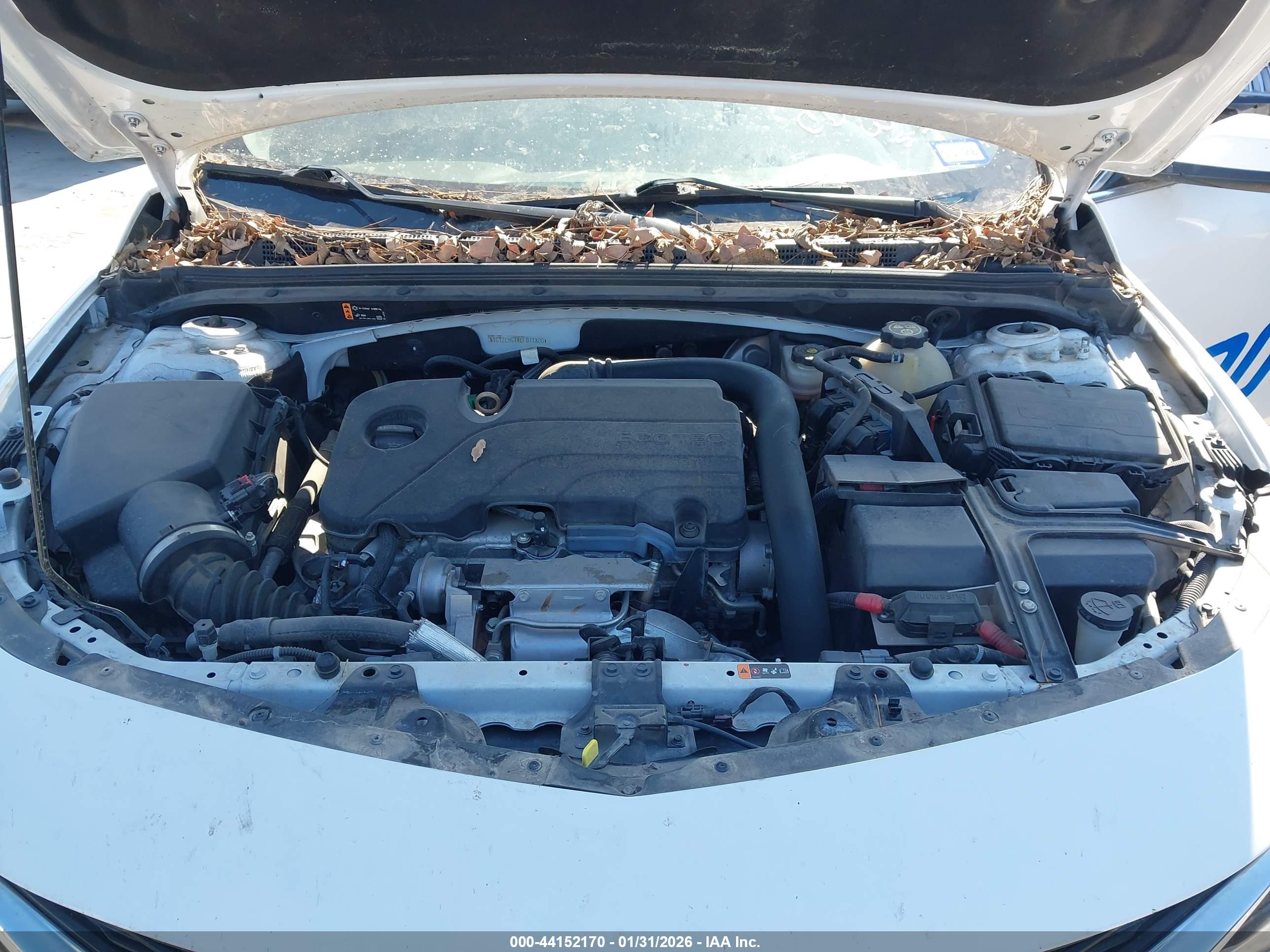 CHEVROLET MALIBU image 10