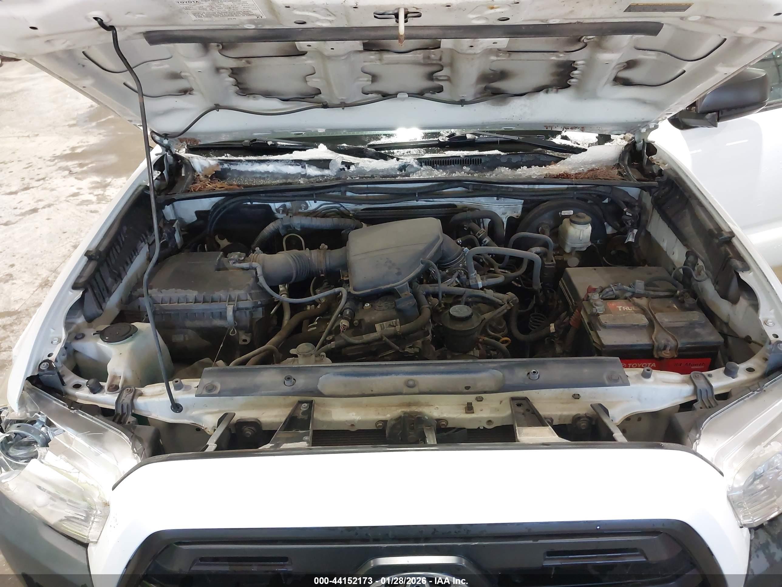 TOYOTA TACOMA image 10
