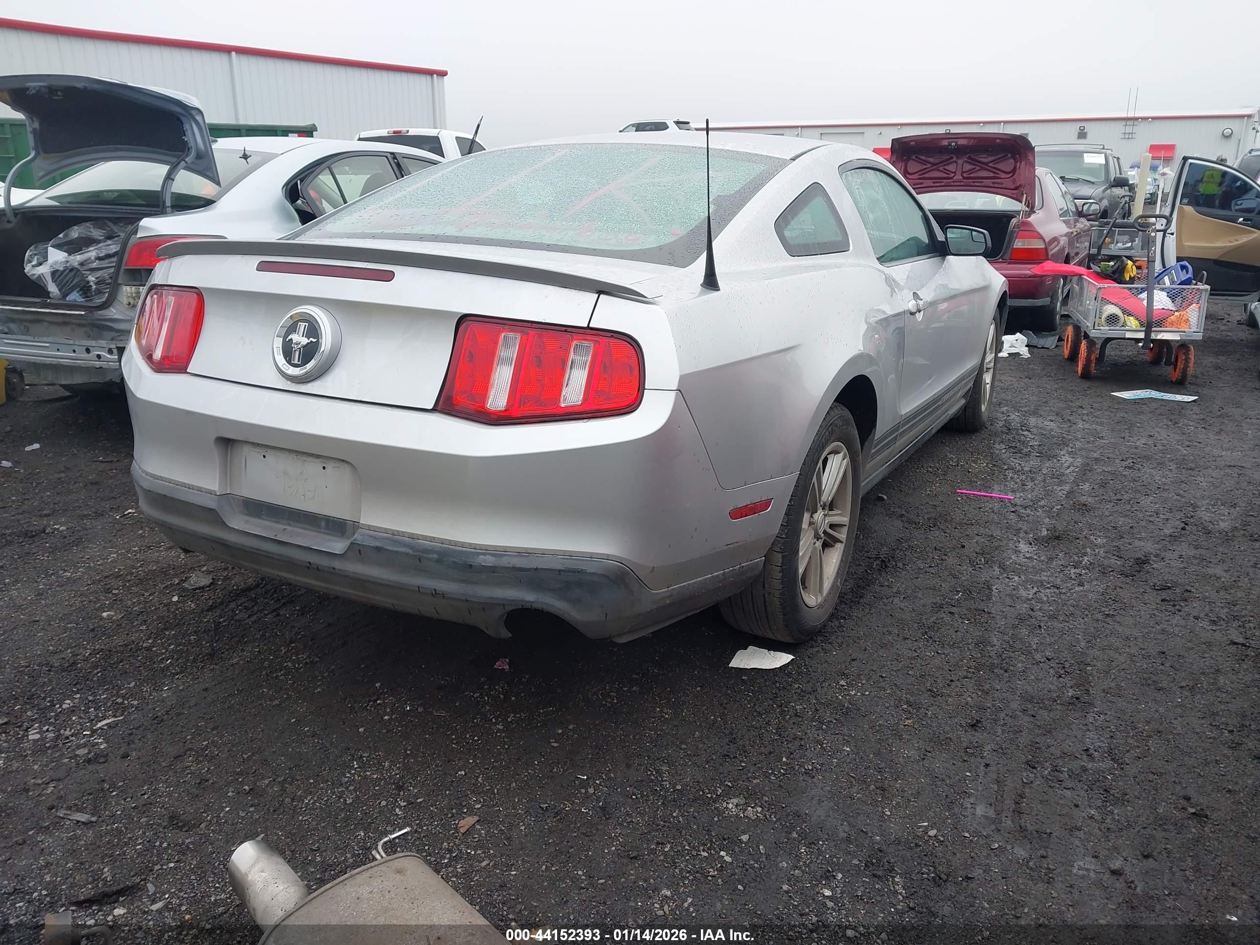 FORD MUSTANG image 4