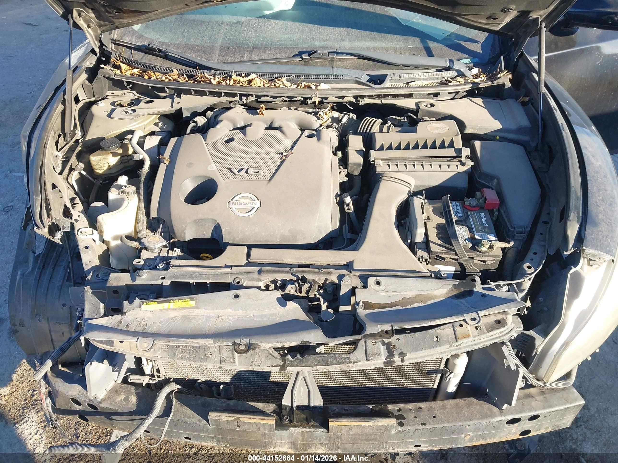 NISSAN MAXIMA image 10