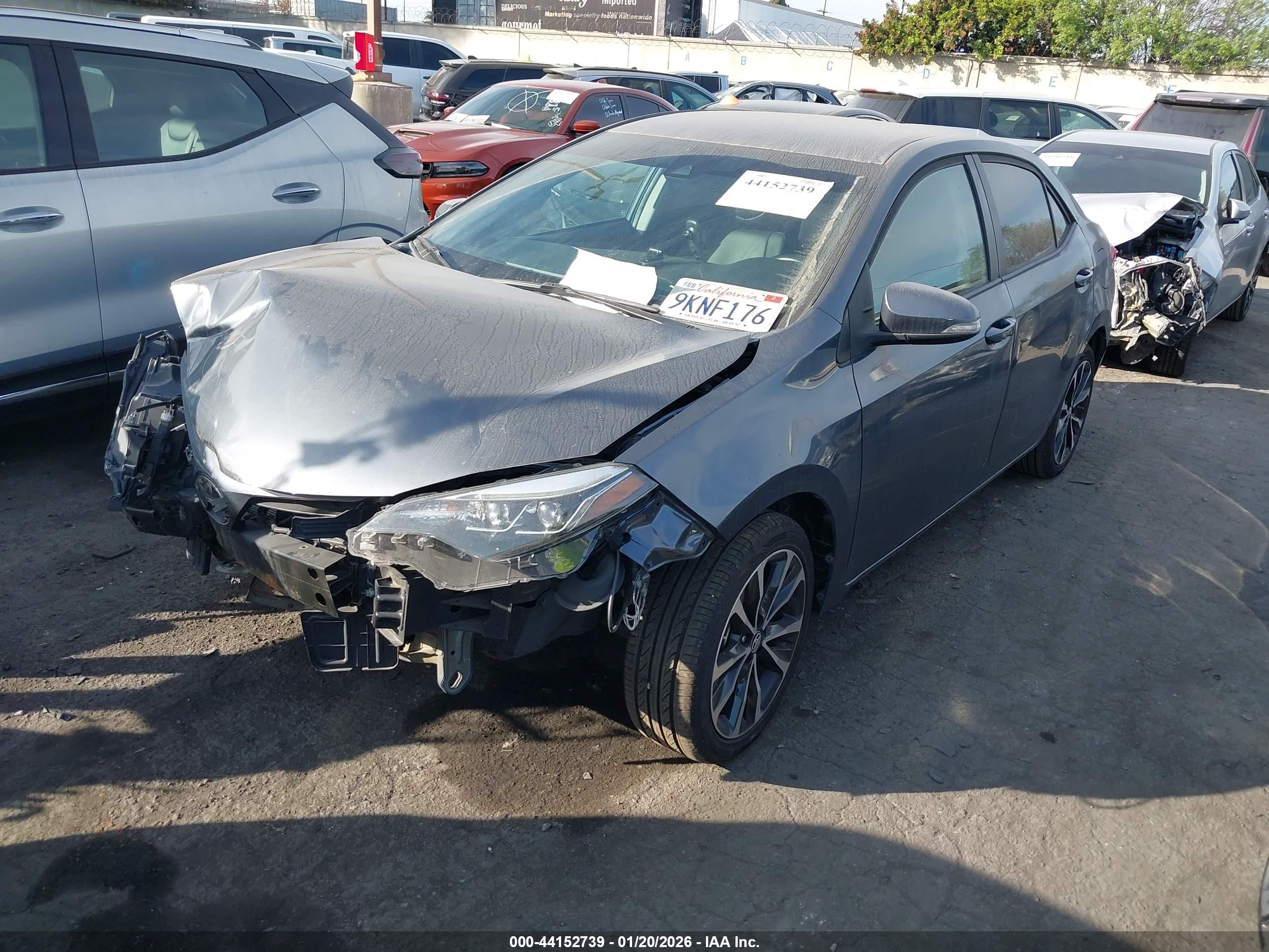 TOYOTA COROLLA image 2