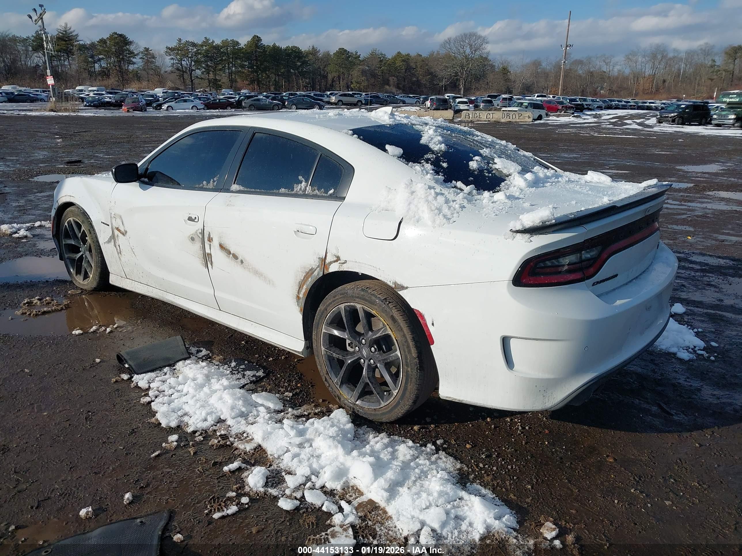 DODGE CHARGER image 3