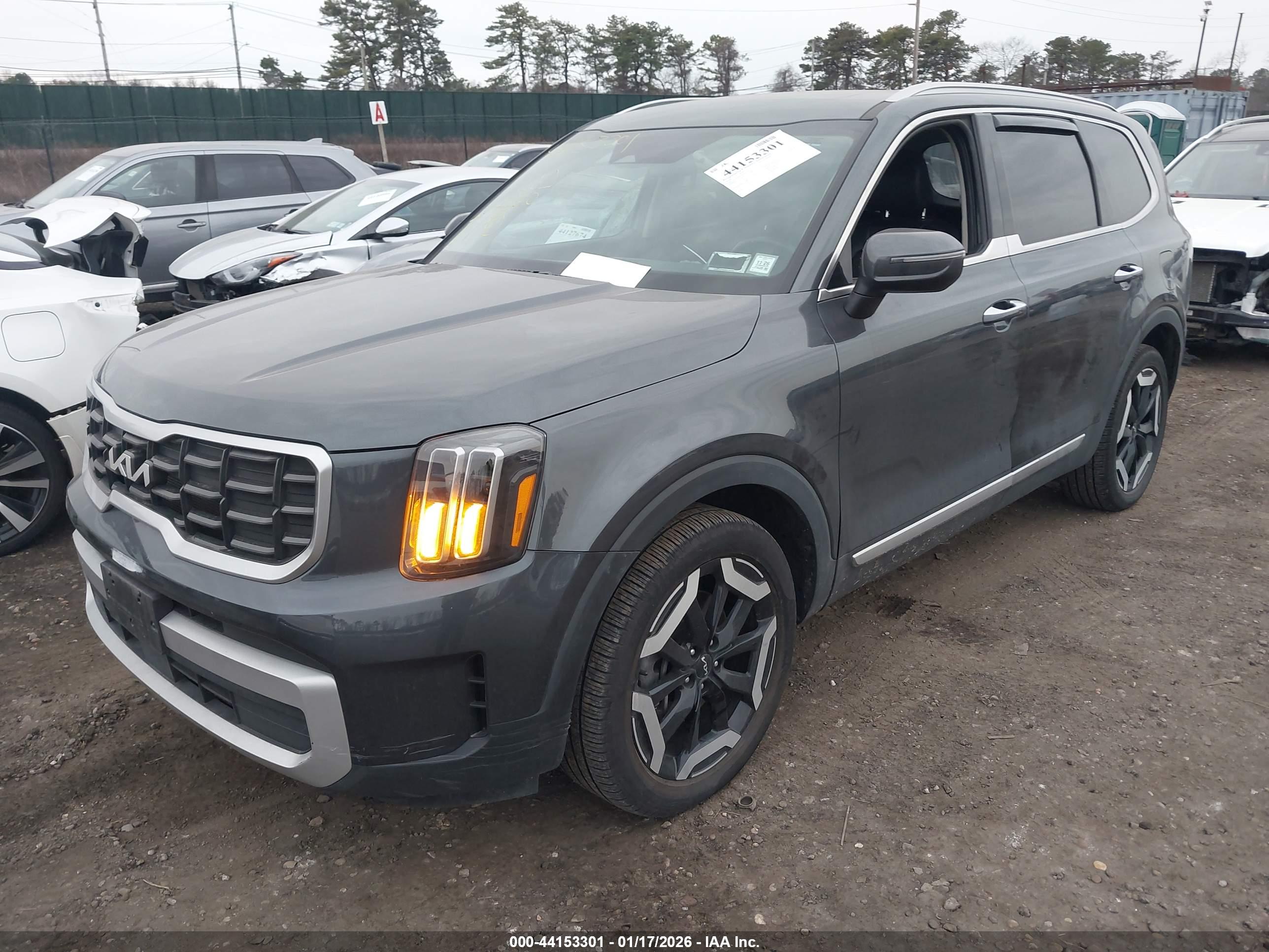 KIA TELLURIDE image 2