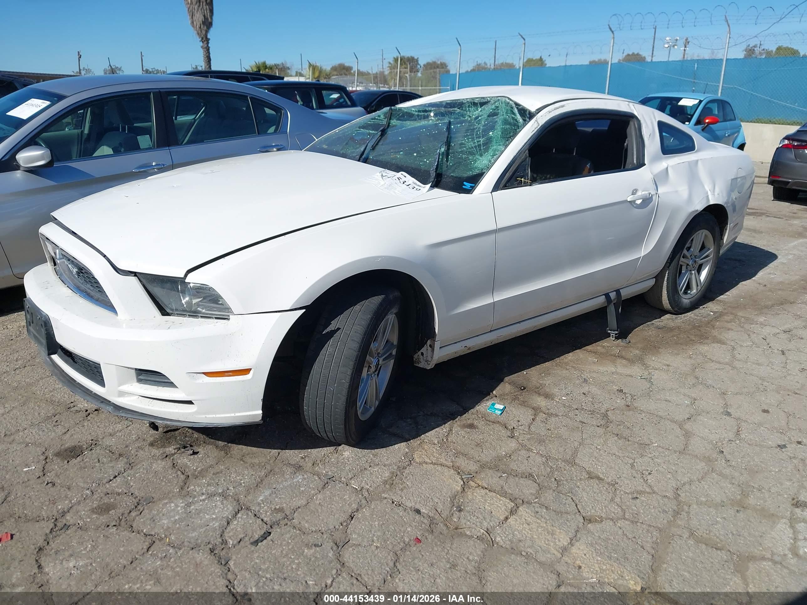 FORD MUSTANG image 2