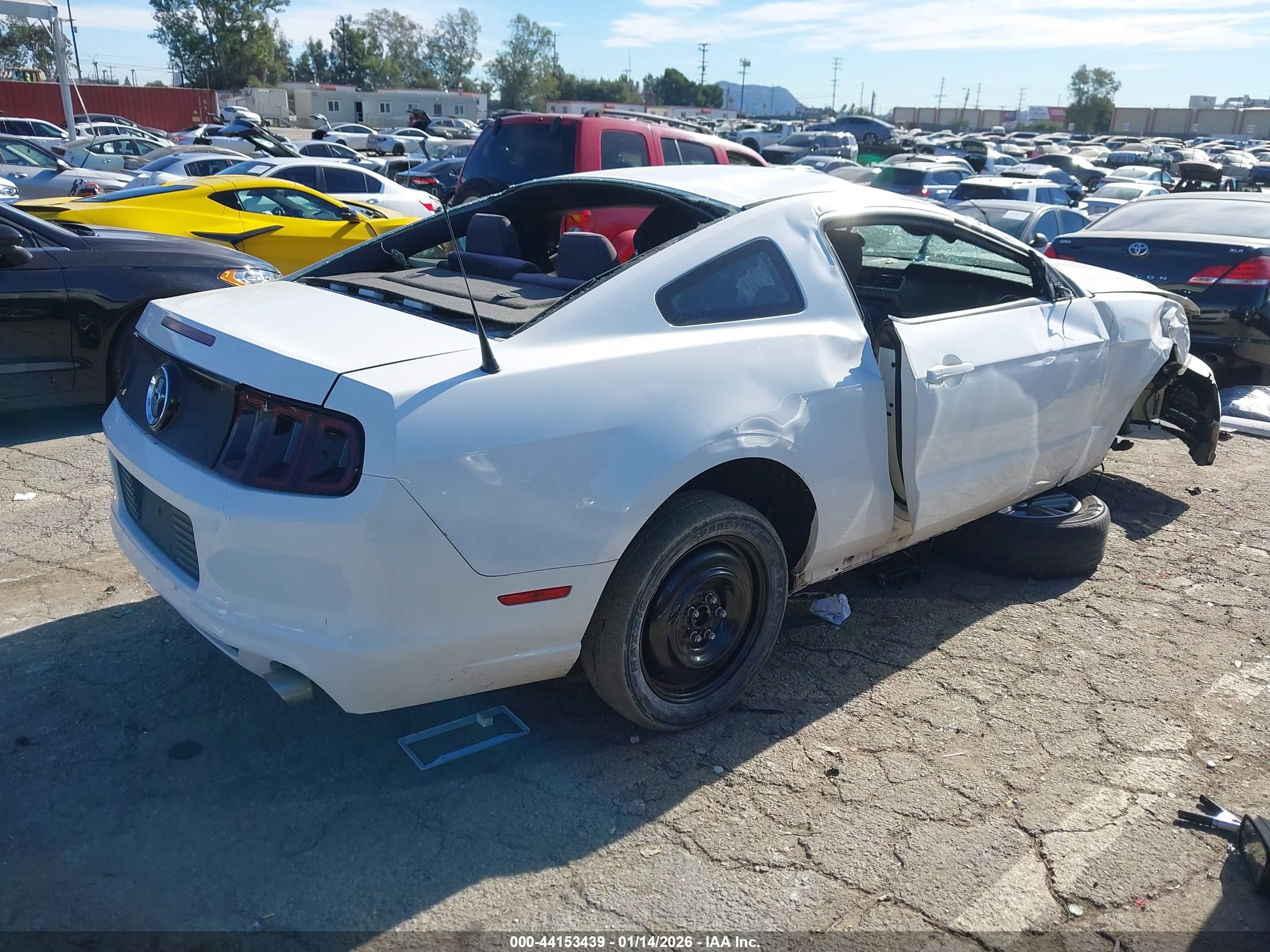 FORD MUSTANG image 4