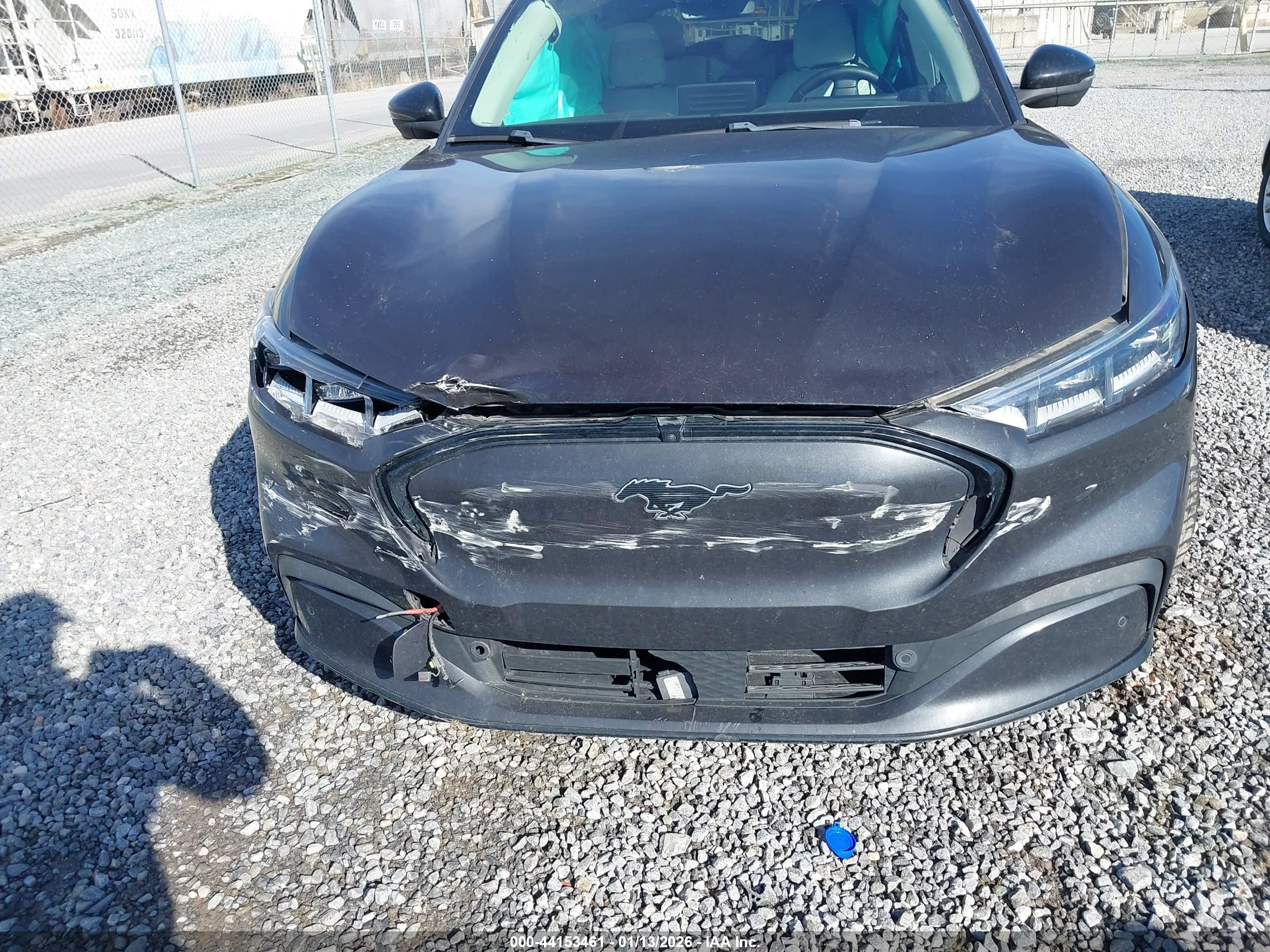 FORD MUSTANG image 6