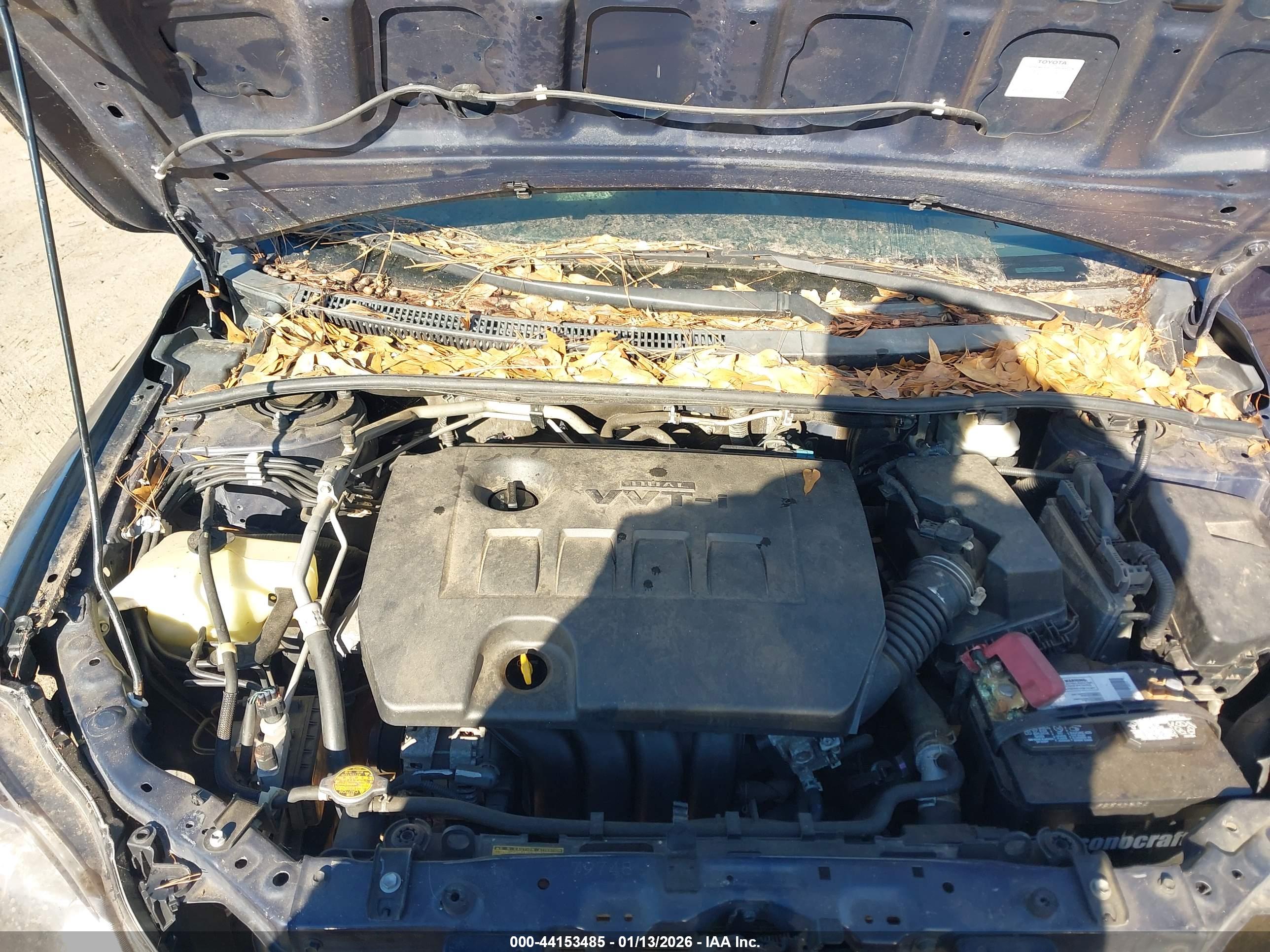 TOYOTA COROLLA image 10