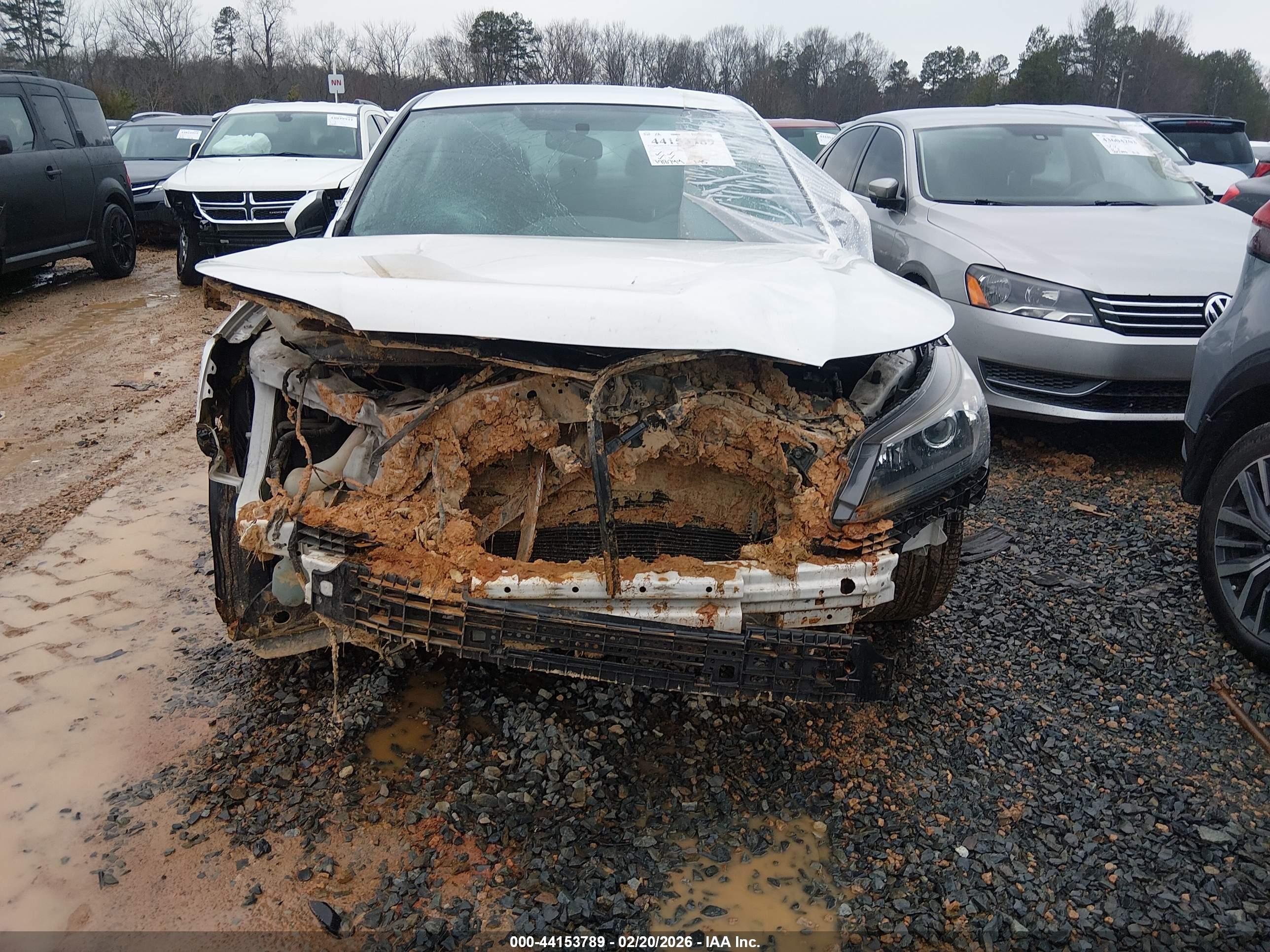 HONDA ACCORD image 6