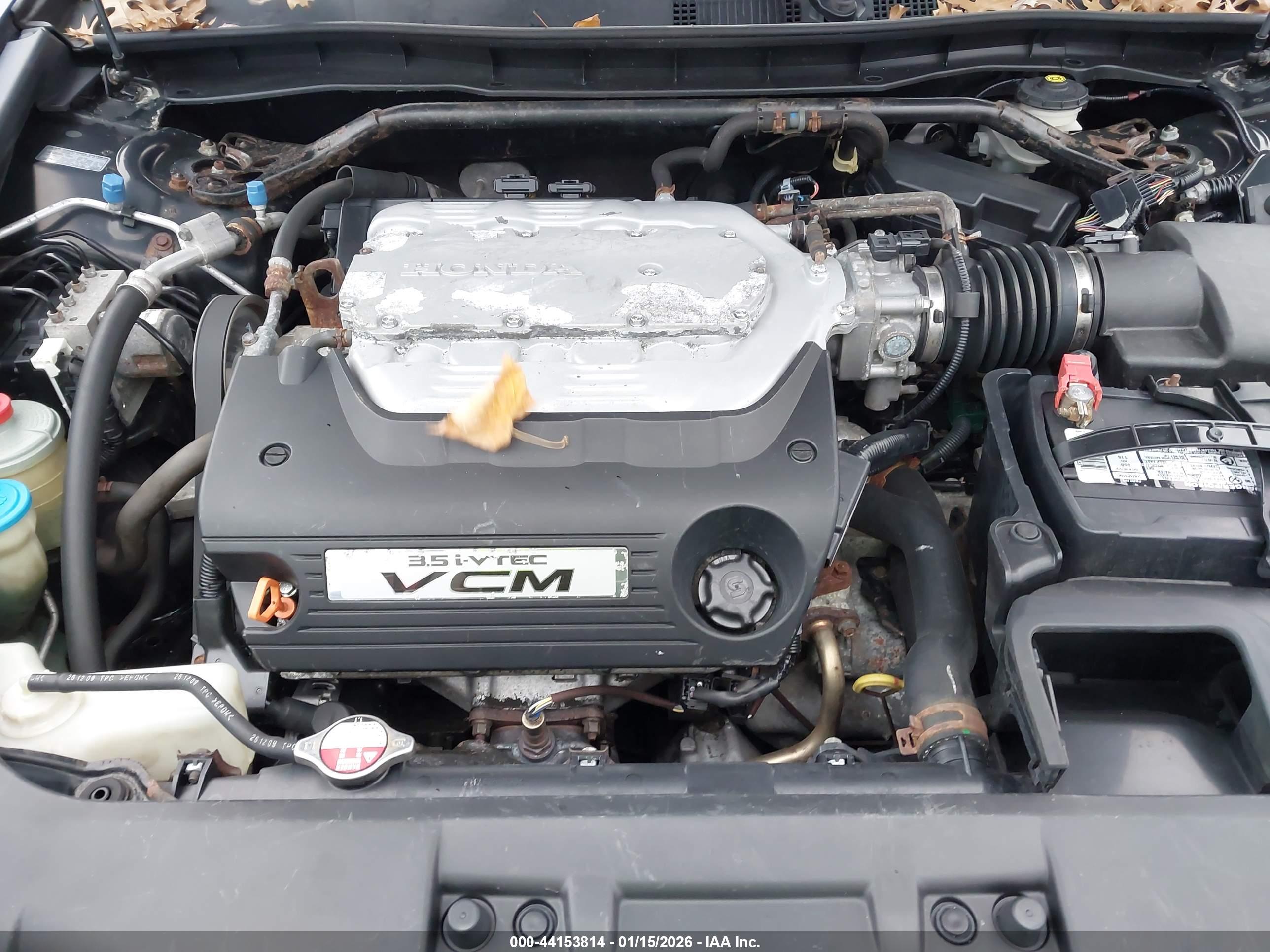 HONDA ACCORD image 10