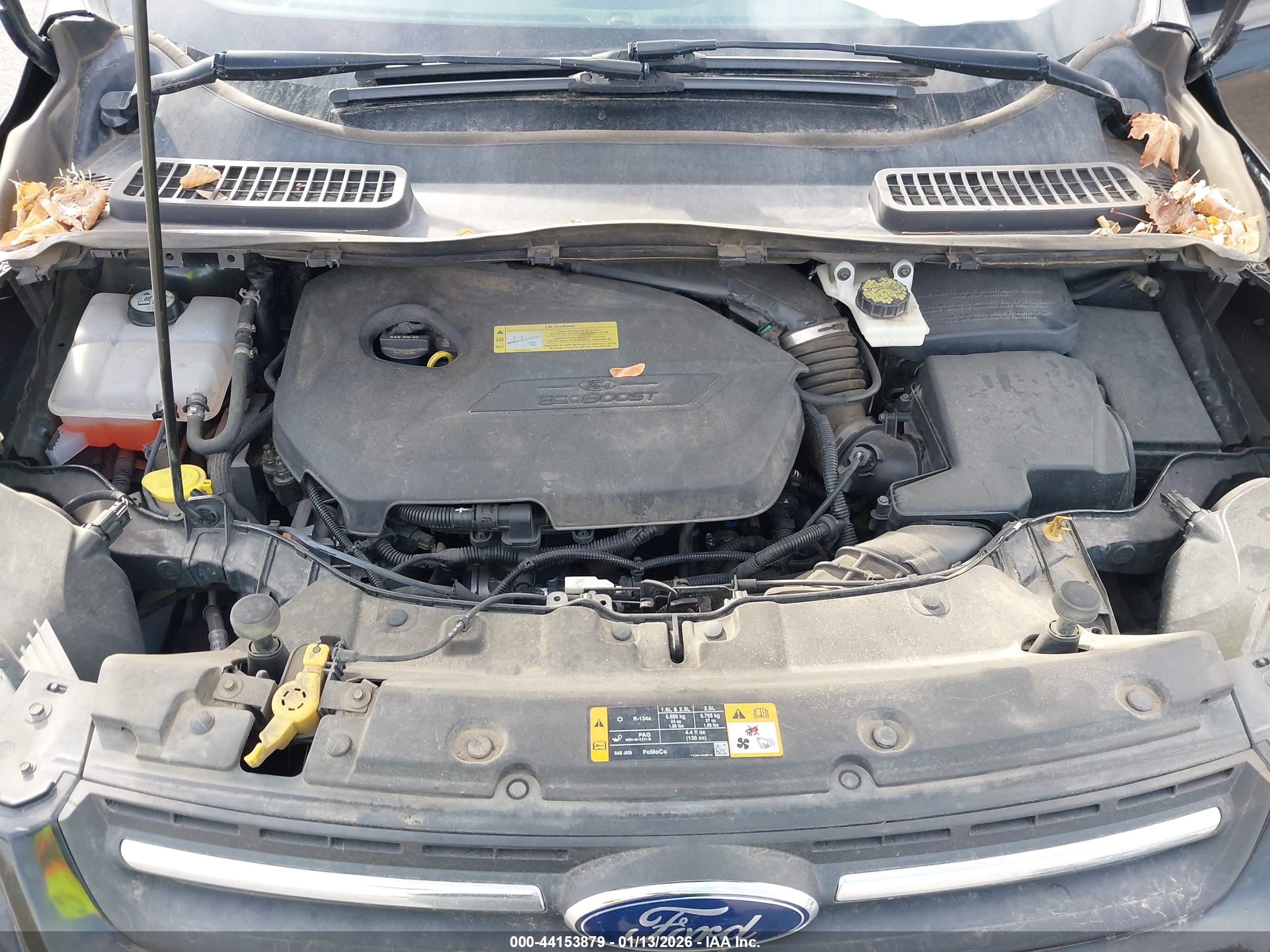 FORD ESCAPE image 10