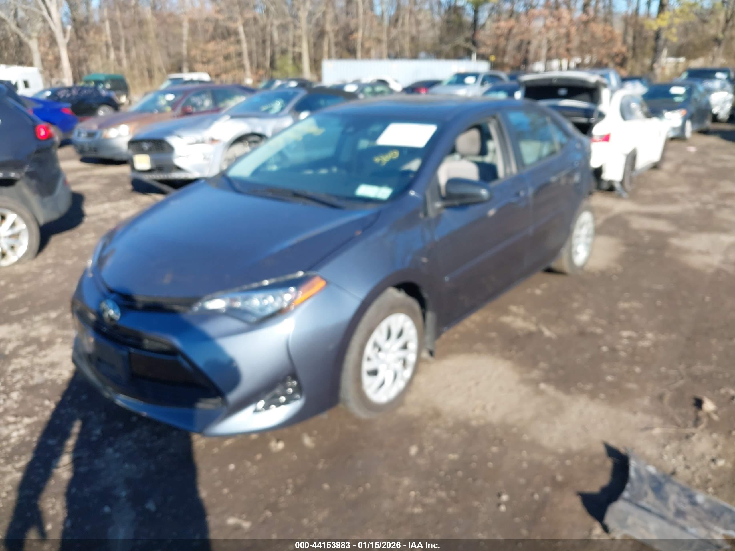 TOYOTA COROLLA image 2