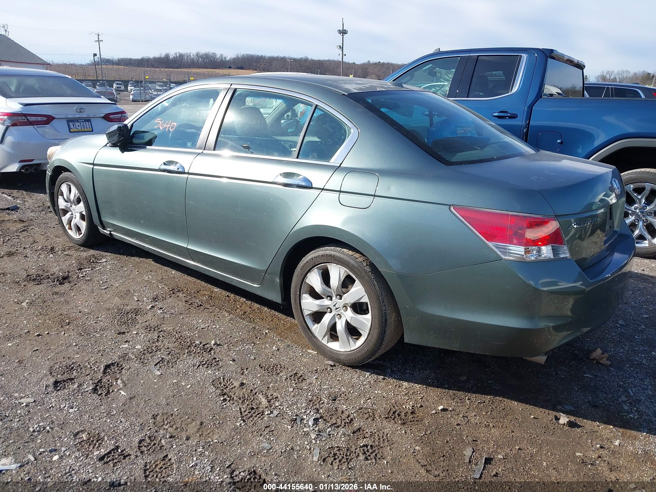 HONDA ACCORD image 3