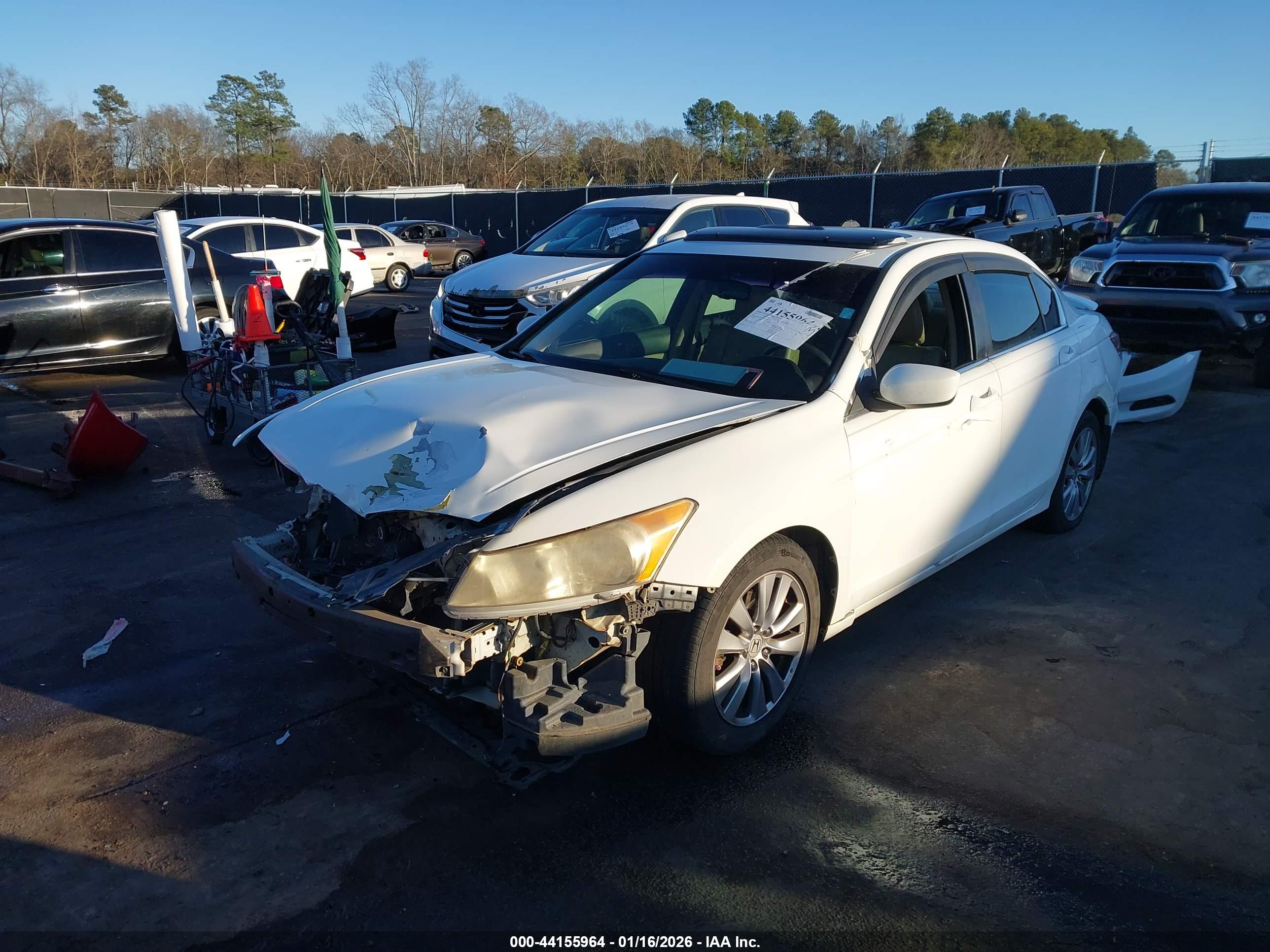 HONDA ACCORD image 2