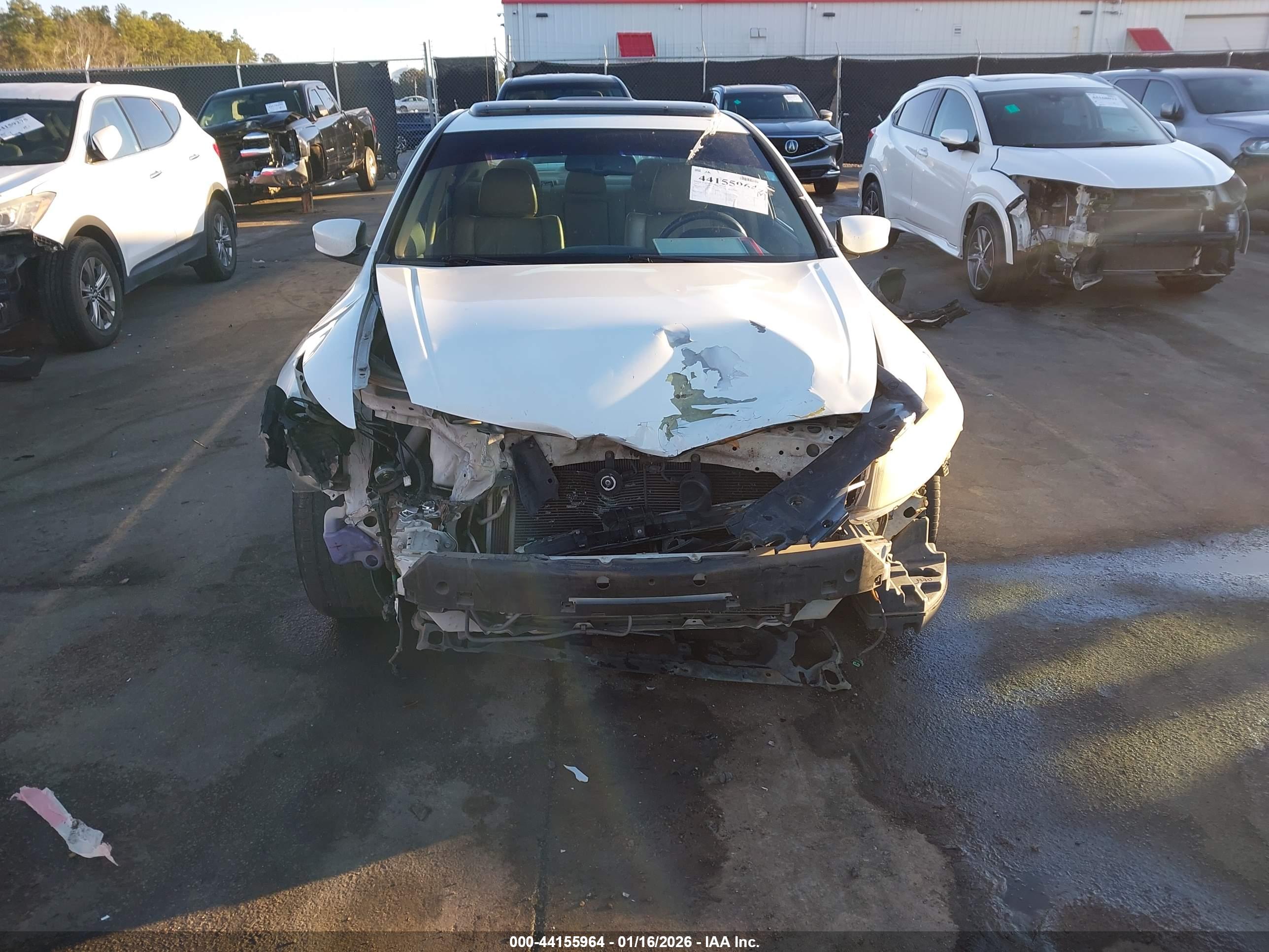 HONDA ACCORD image 6