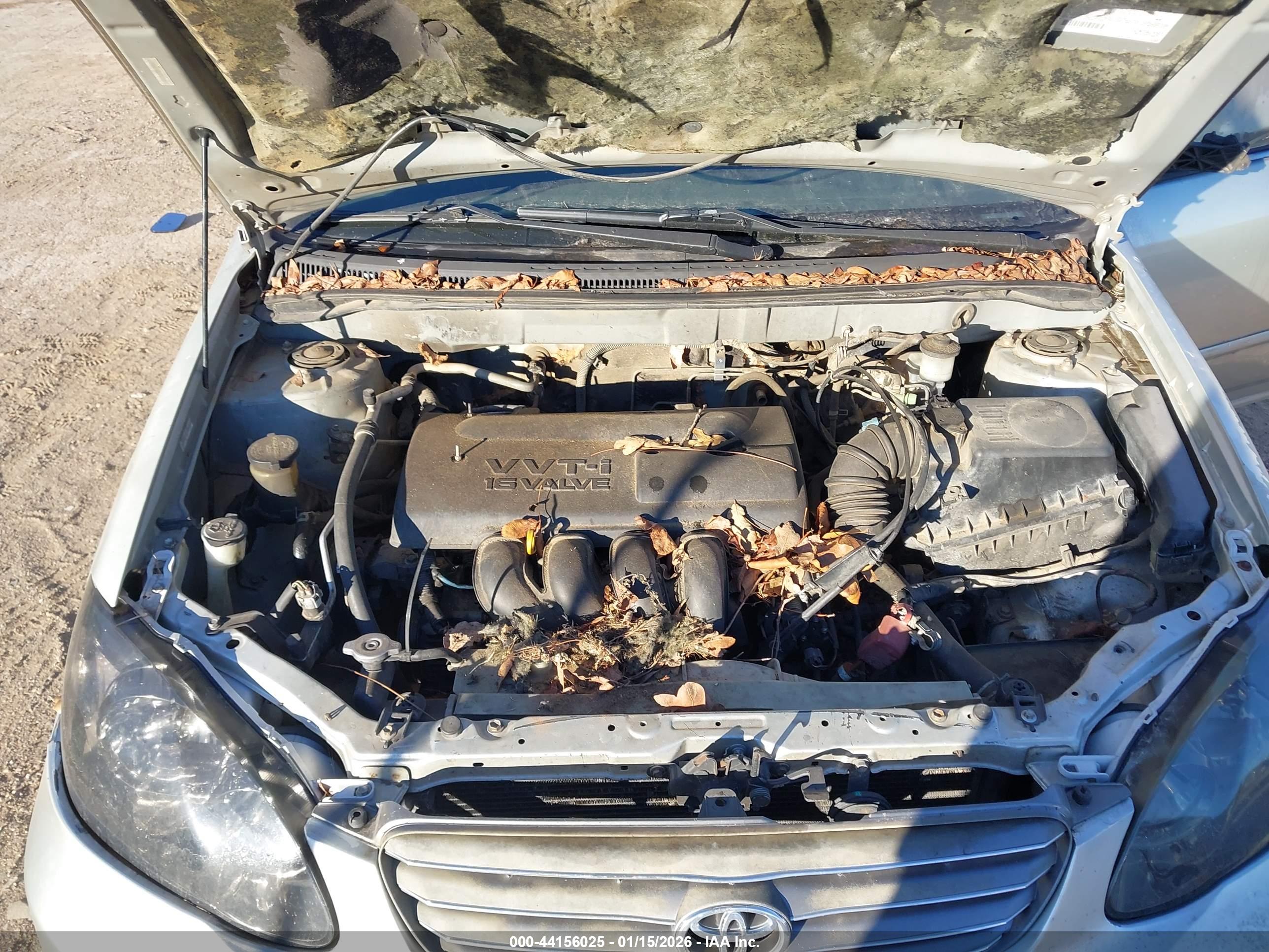 TOYOTA COROLLA image 10