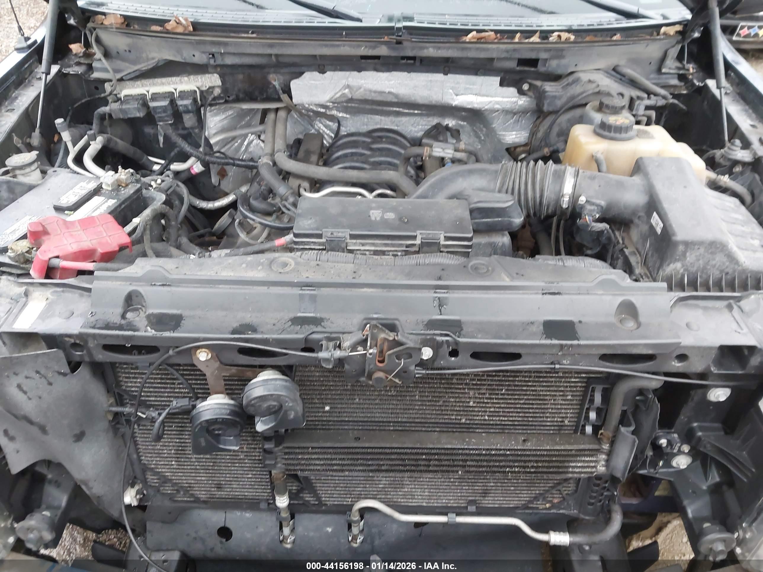 FORD F-150 image 10