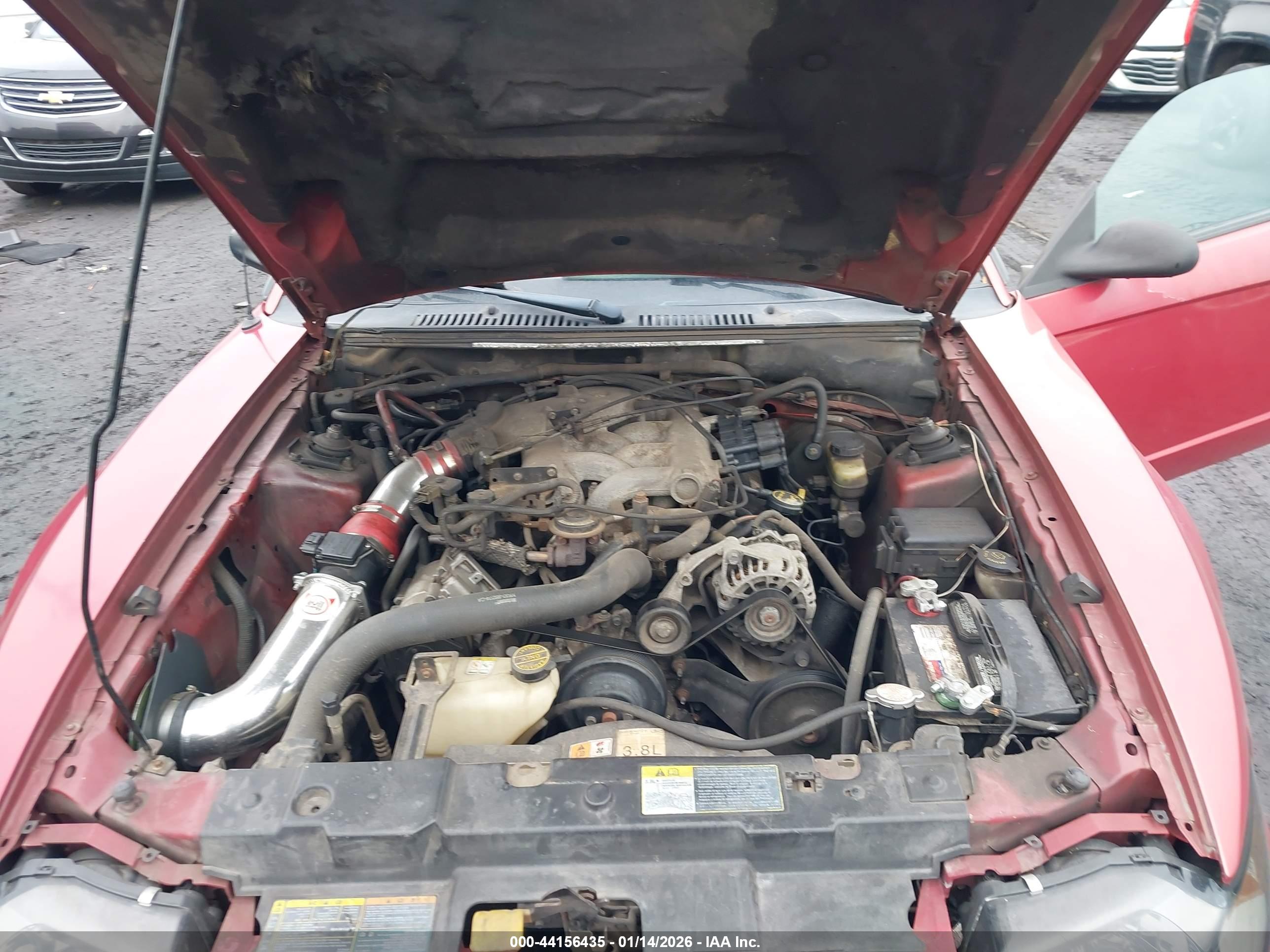 FORD MUSTANG image 10