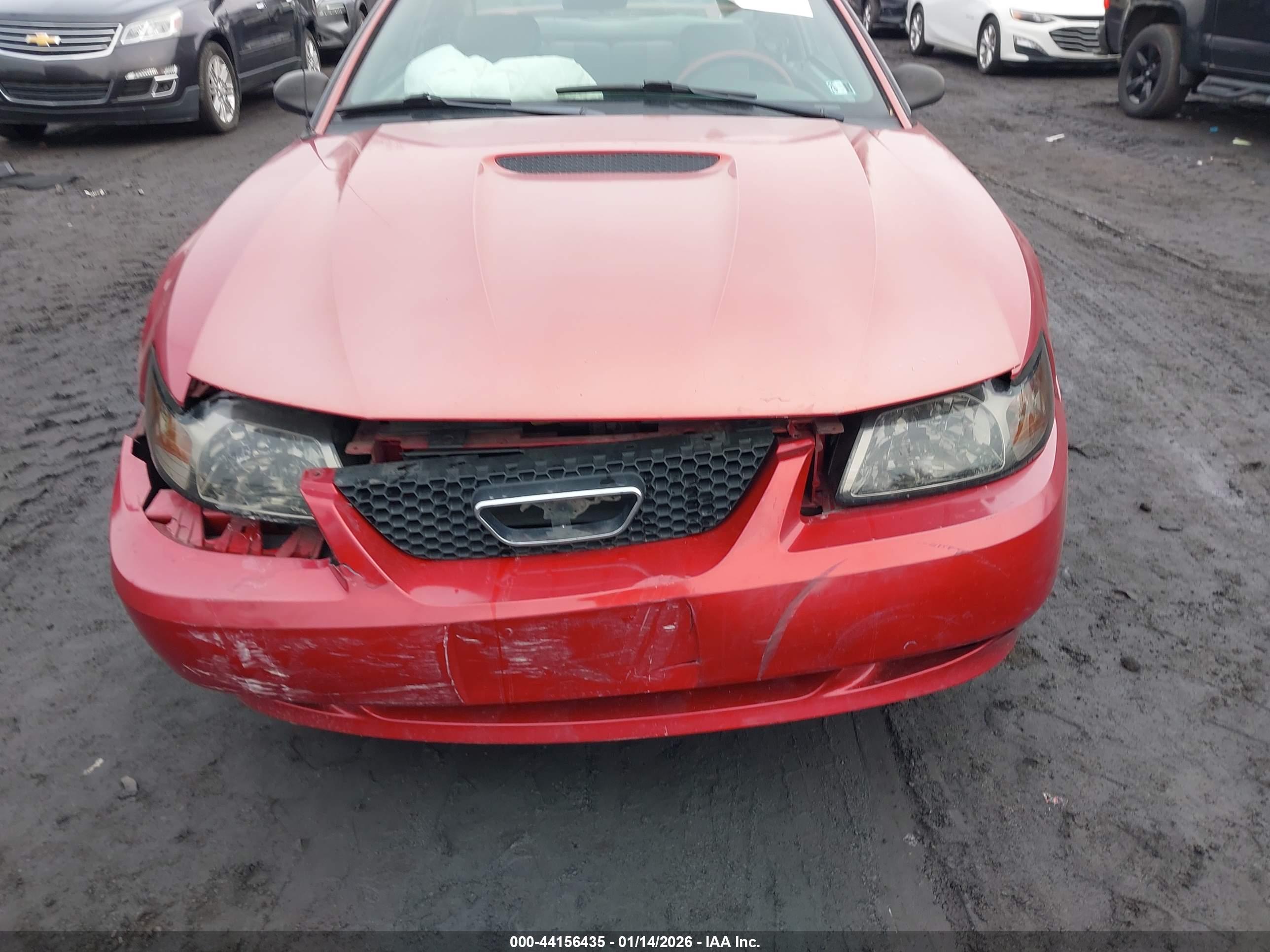 FORD MUSTANG image 6