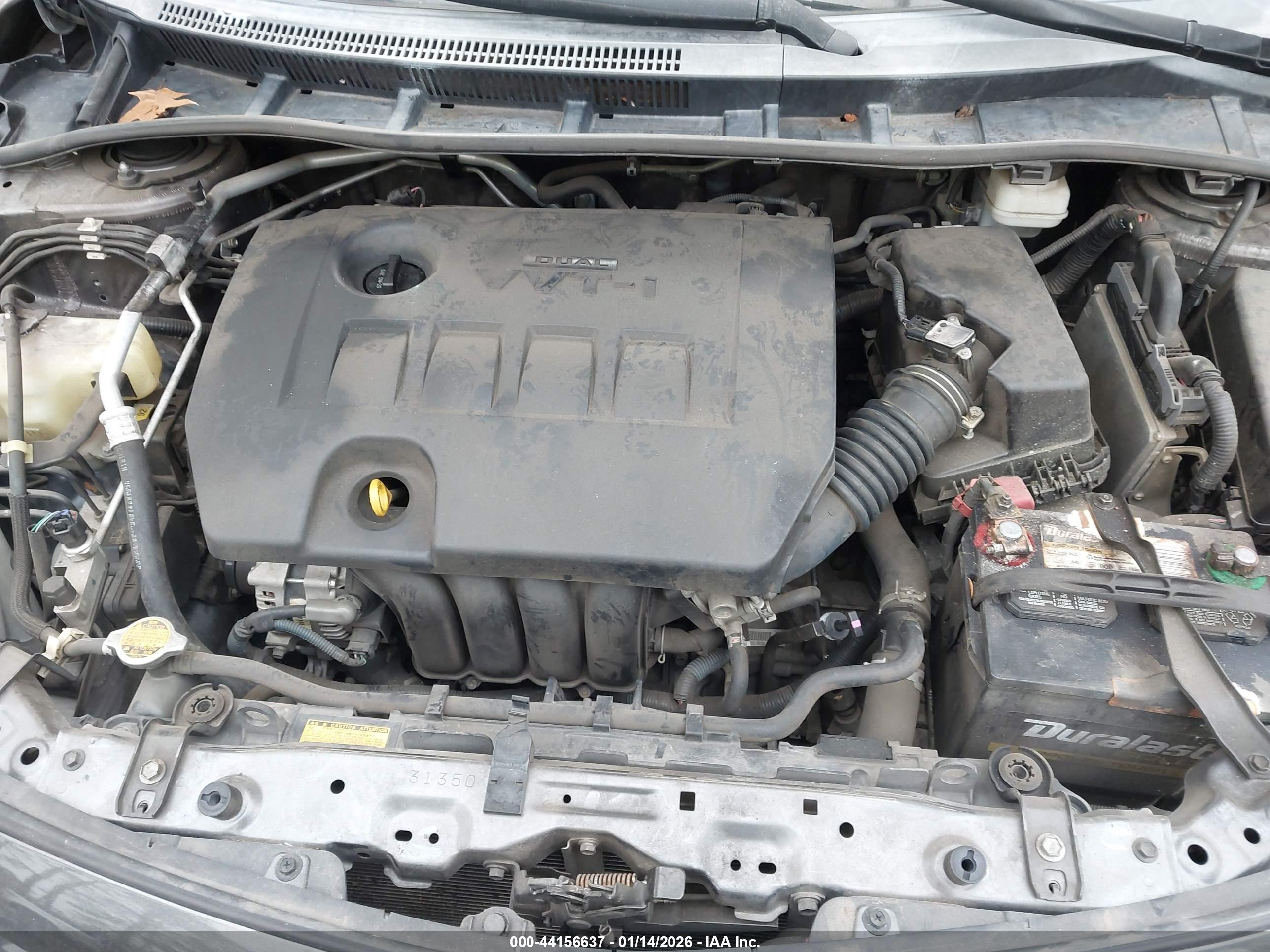 TOYOTA COROLLA image 10