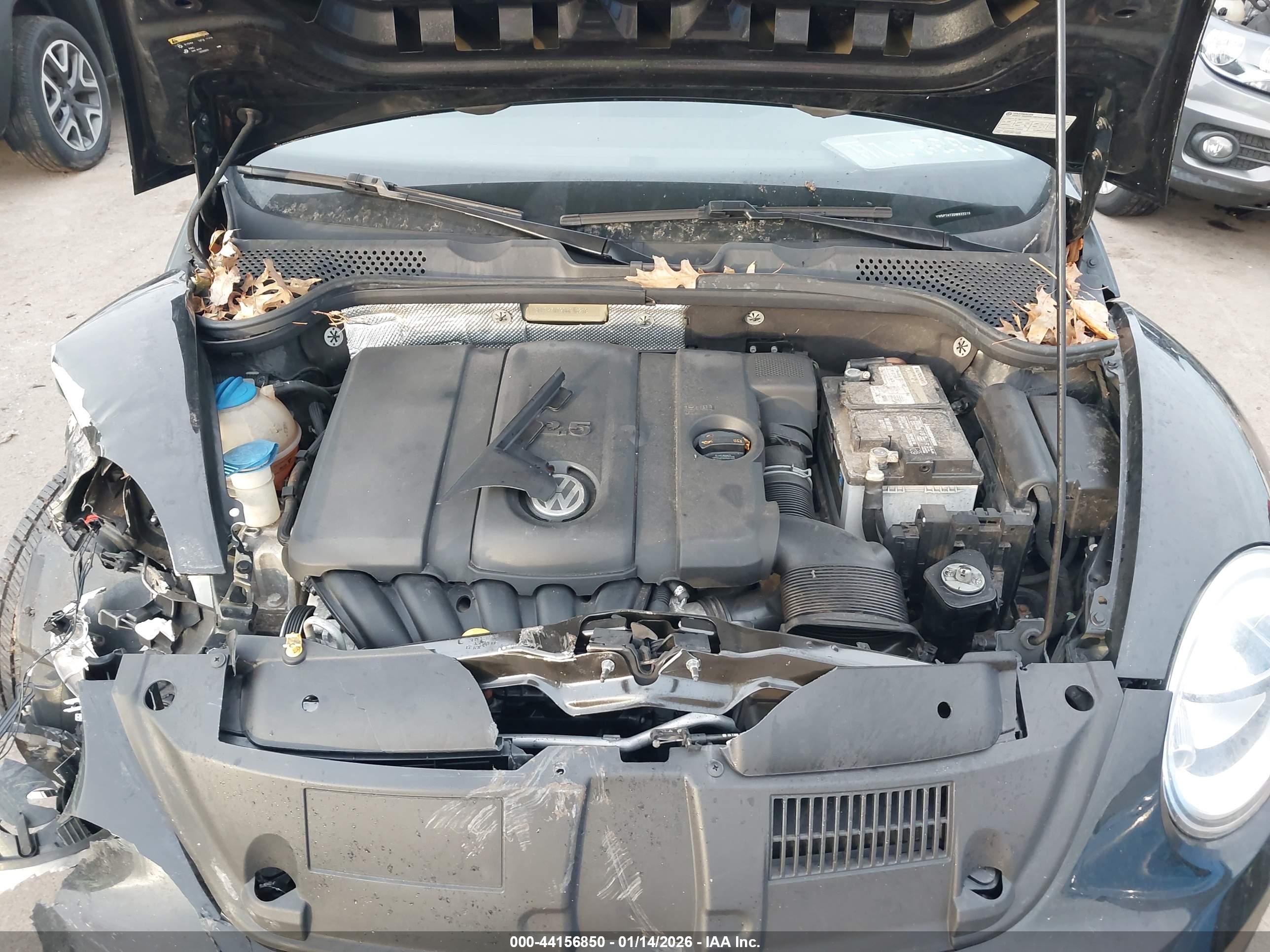 VOLKSWAGEN BEETLE image 10